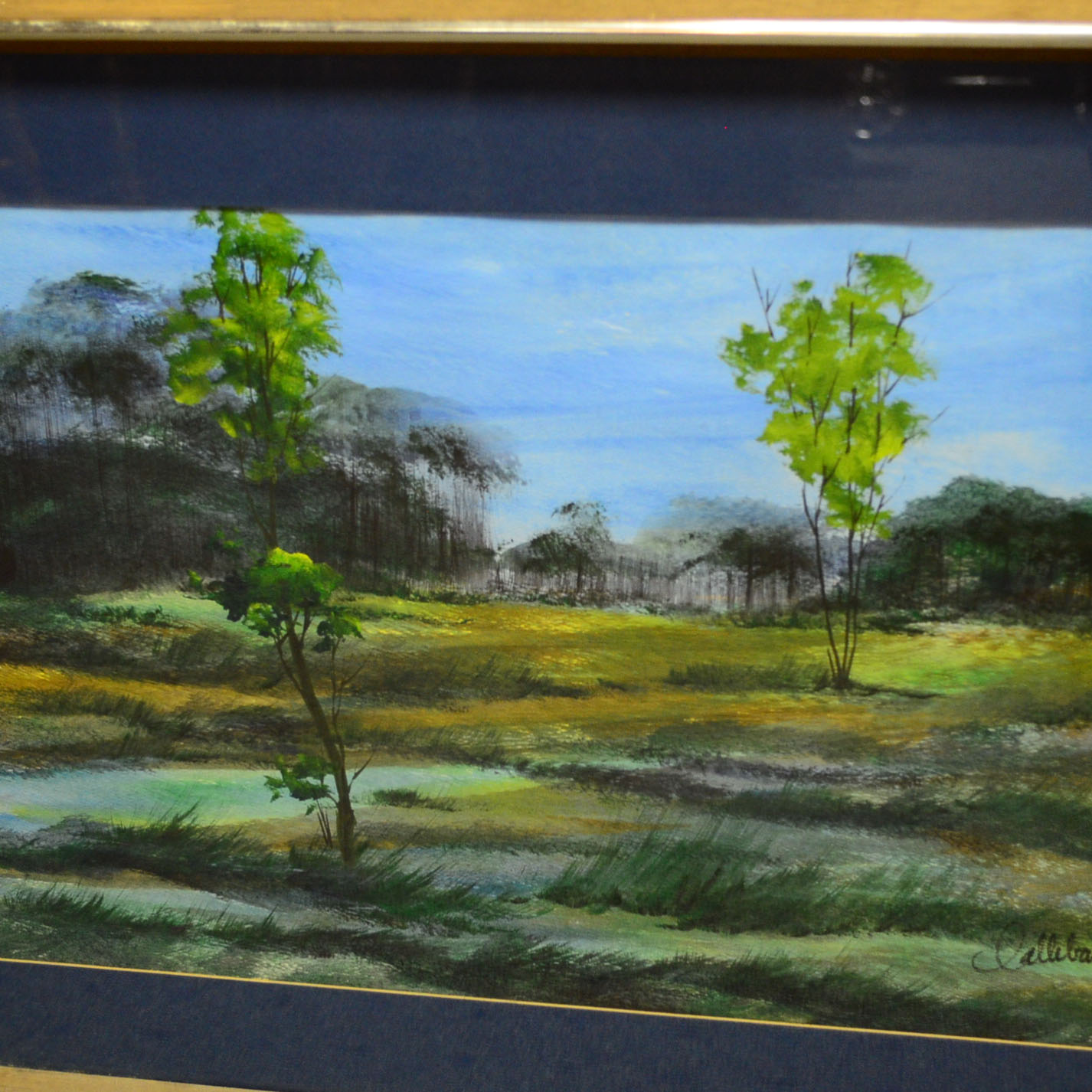 Original Acrylic Landscape Painting By Raymond Callebaut