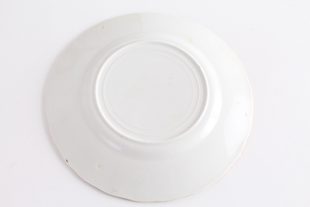 Victoria Carlsbad Austrian Decorative Plates