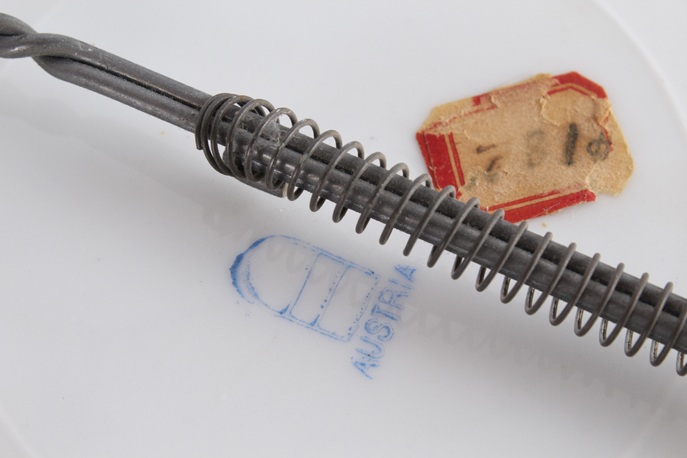 Victoria Carlsbad Austrian Decorative Plates