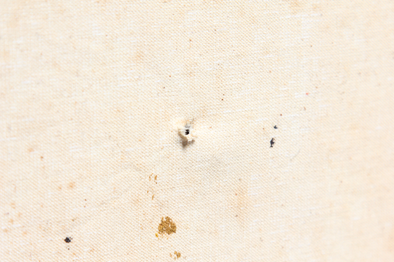 Framed Original Oil Painting by V. Bergen