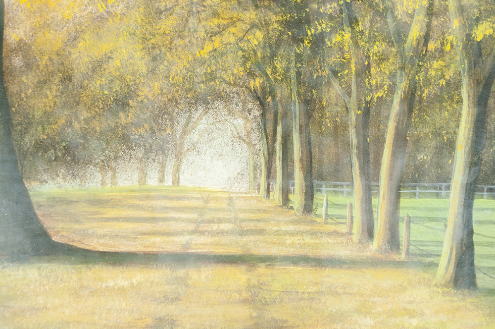 Original Jack Strickland "Grovely Woods" Watercolor