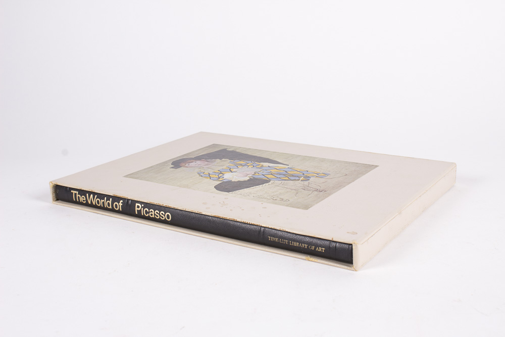 Time Life Library of Art Book Collection