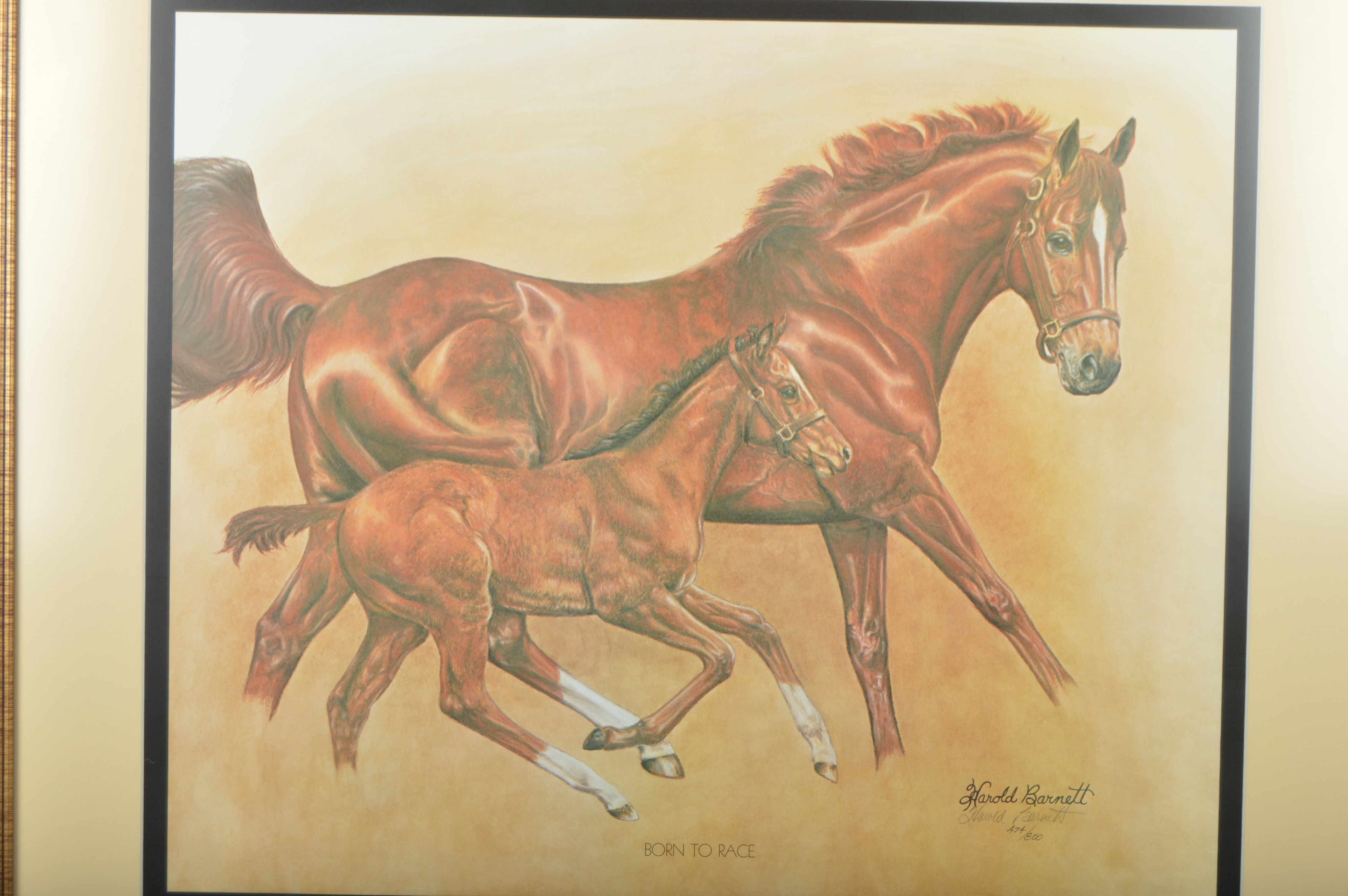 Harold Bennett "Born To Race Artist Reproduction Print