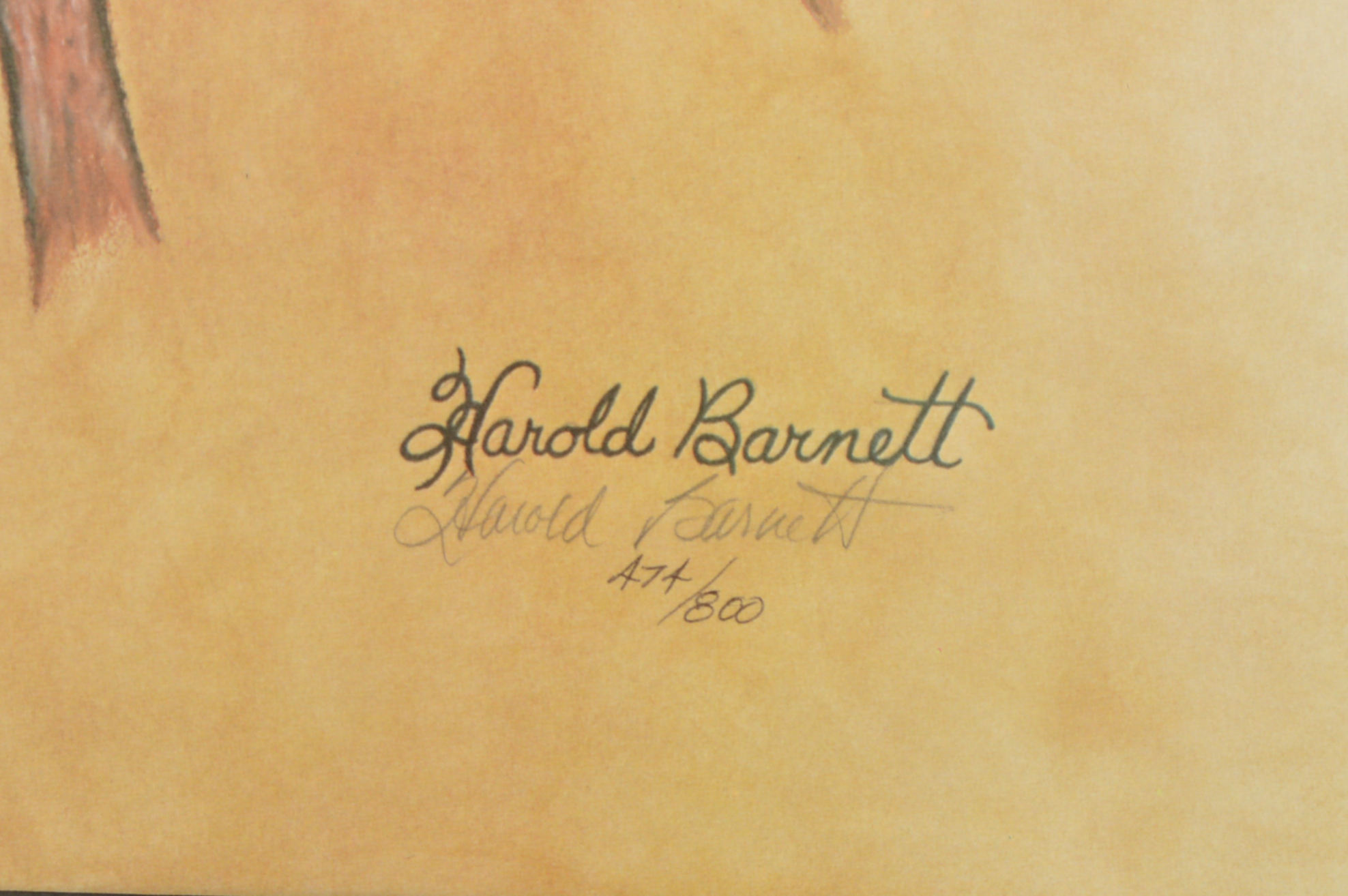 Harold Bennett "Born To Race Artist Reproduction Print