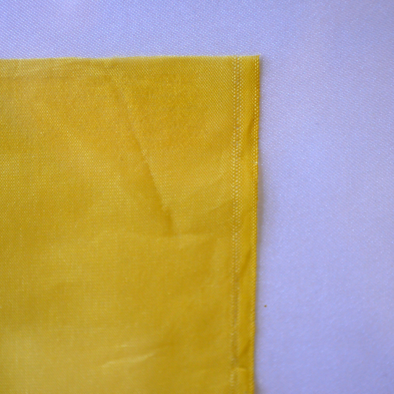 Pair of Silk Paintings