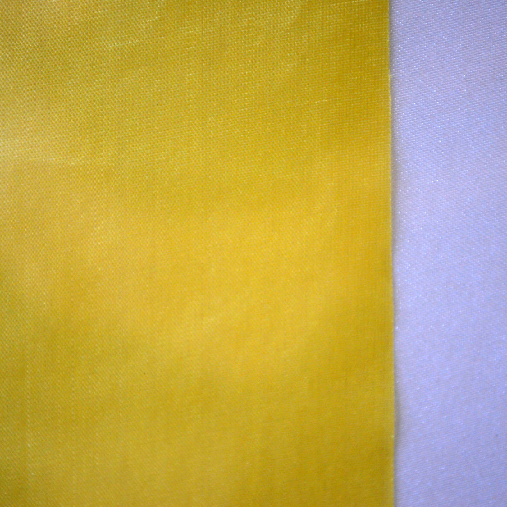 Pair of Silk Paintings