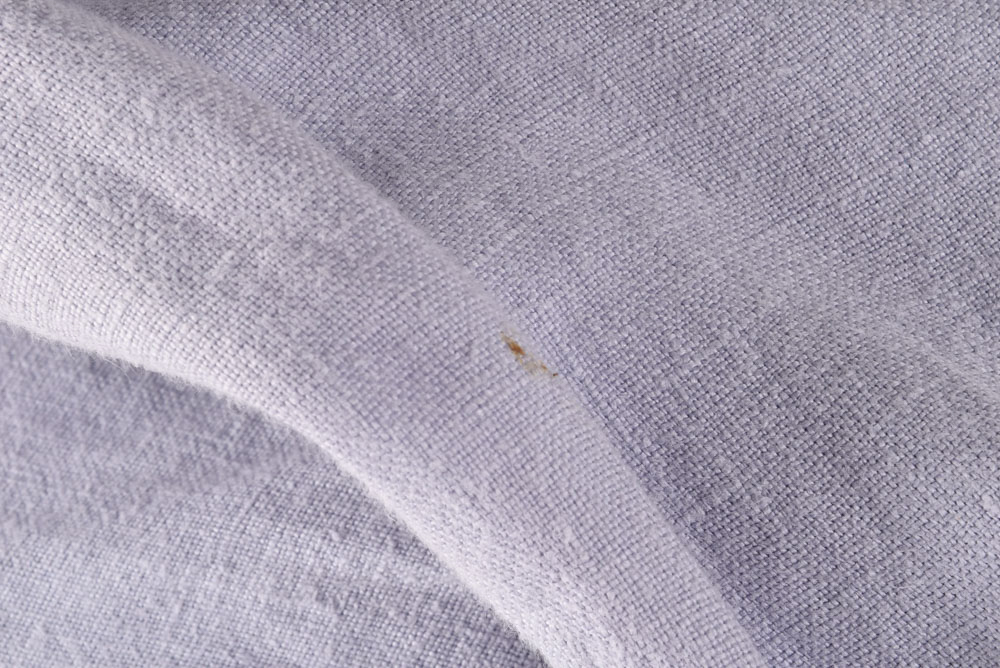 Large Collection of Women's Clothes Including Alfani, Cookie Johnson, Mondo, and Lucky Brand