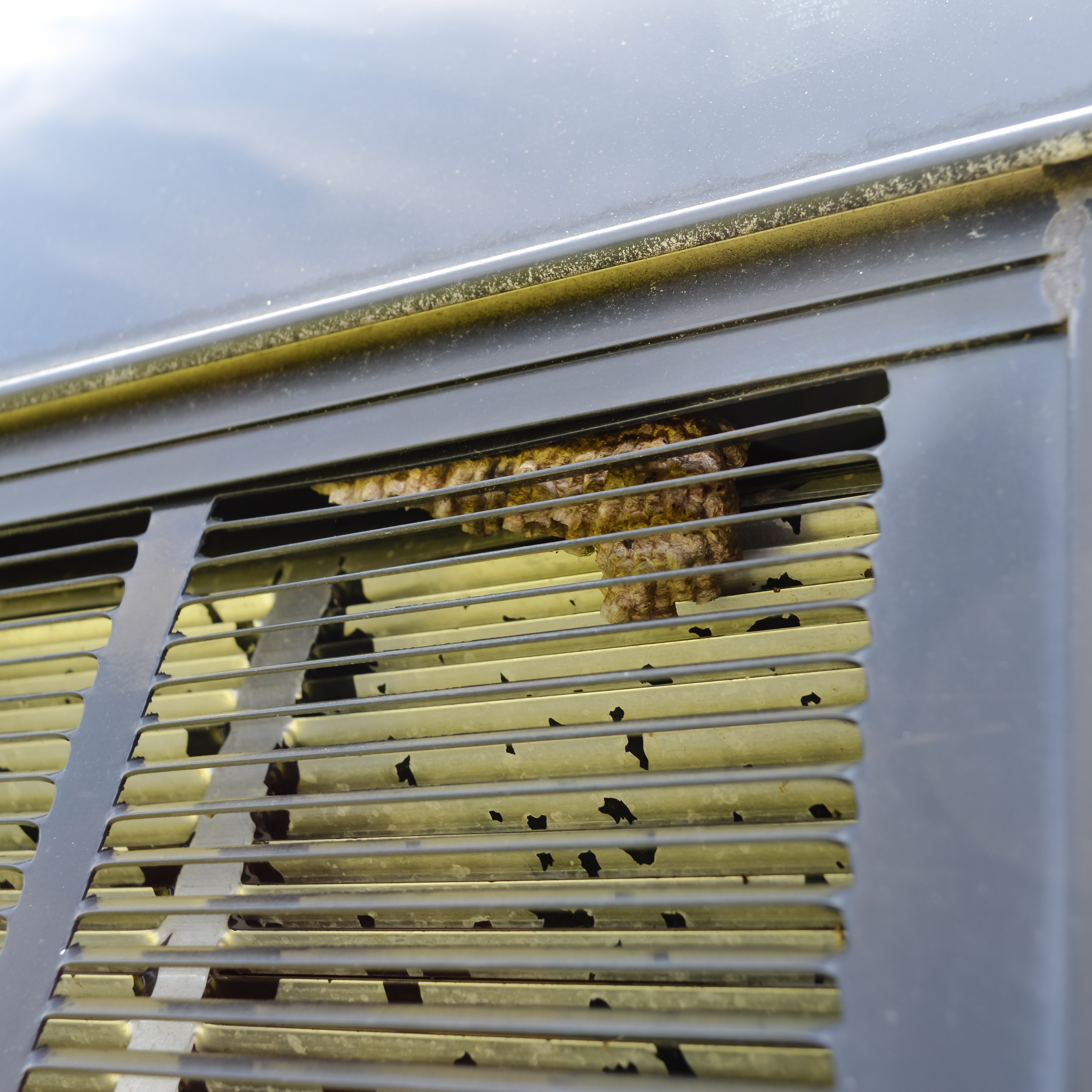 2001 Roadtrek 190 Popular RV