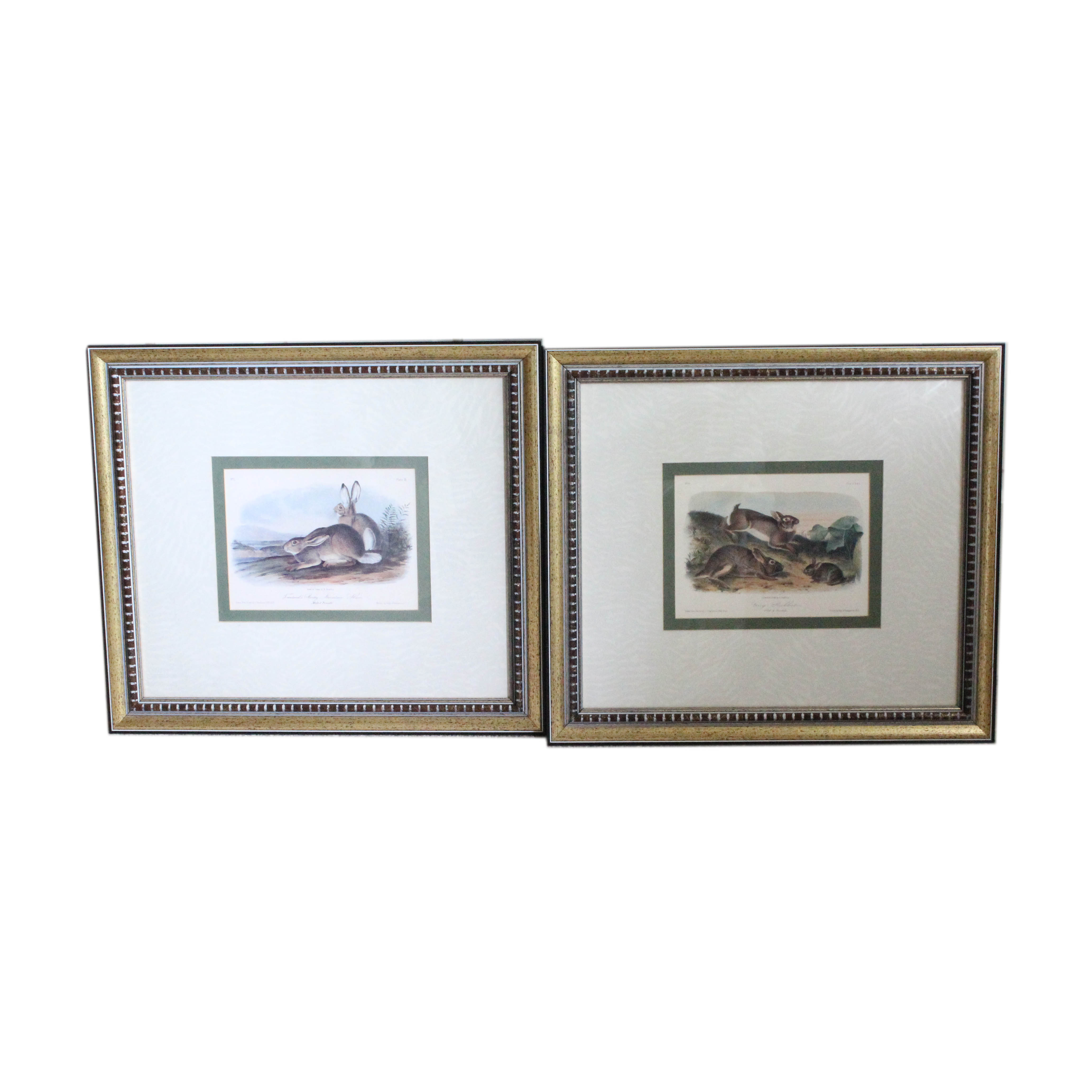Pair of Offset Lithograph Prints Featuring Images of Rabbits