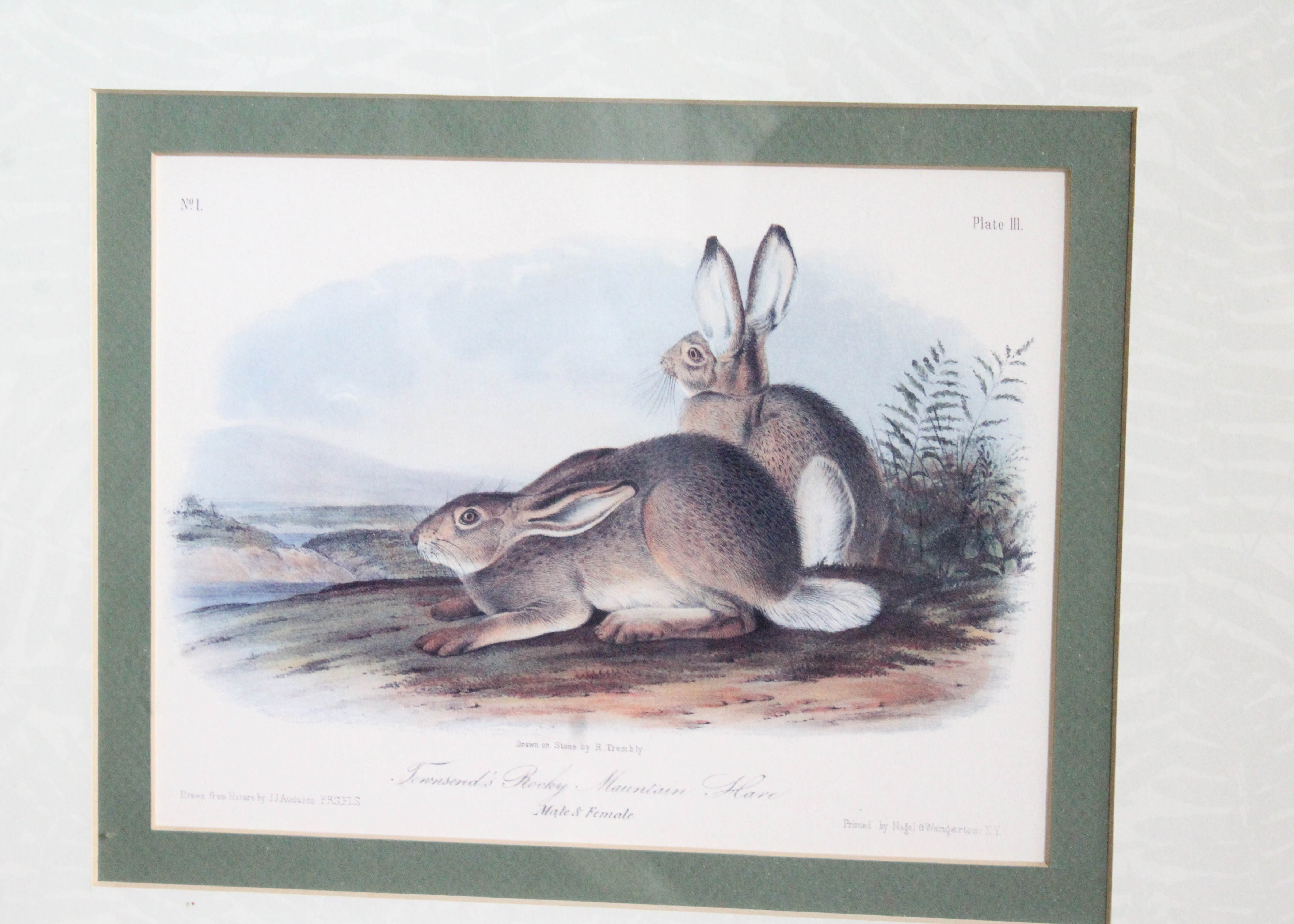 Pair of Offset Lithograph Prints Featuring Images of Rabbits