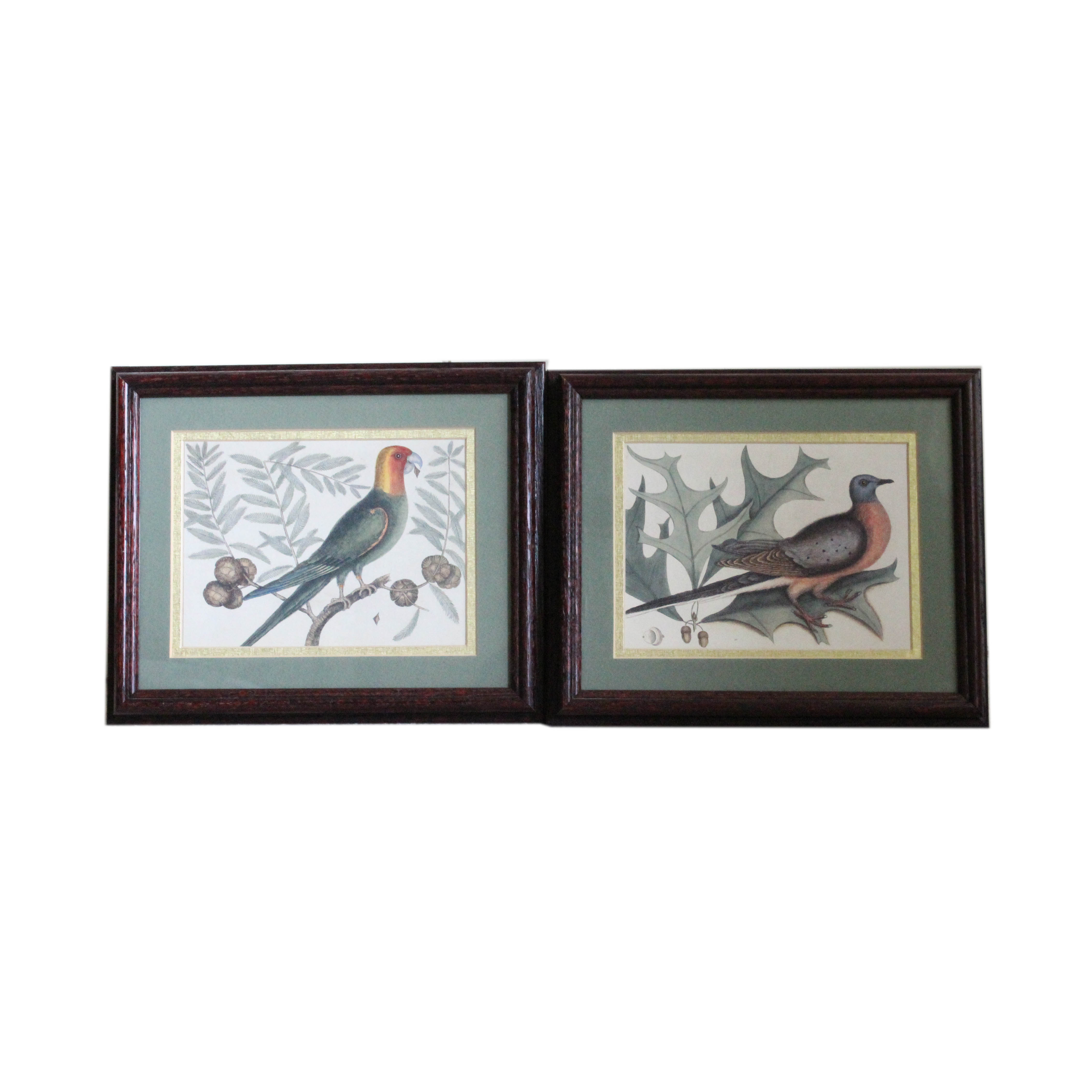 Pair of Mark Catesby Offset Lithograph Prints of Birds