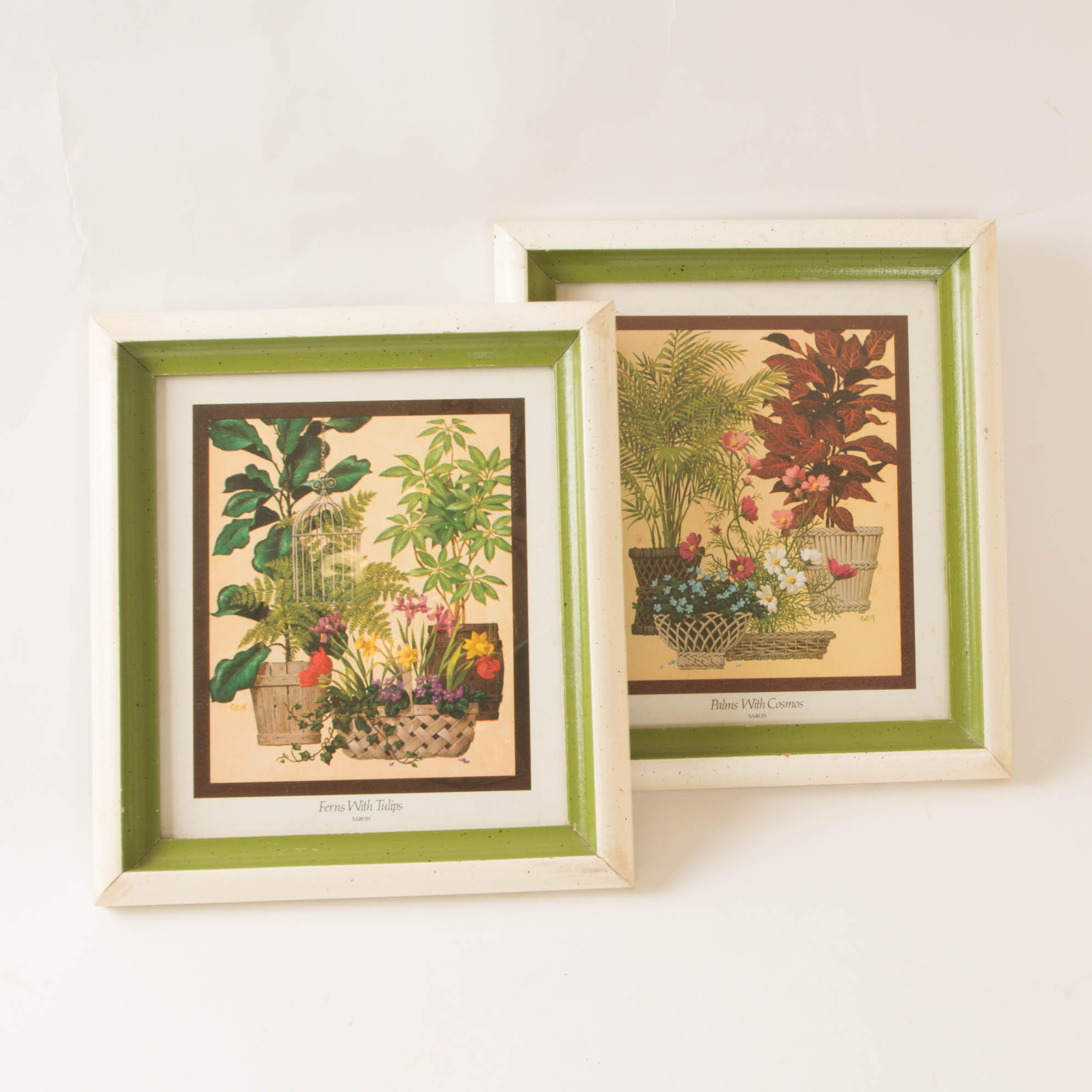 Pair of Botanical Prints by Saron