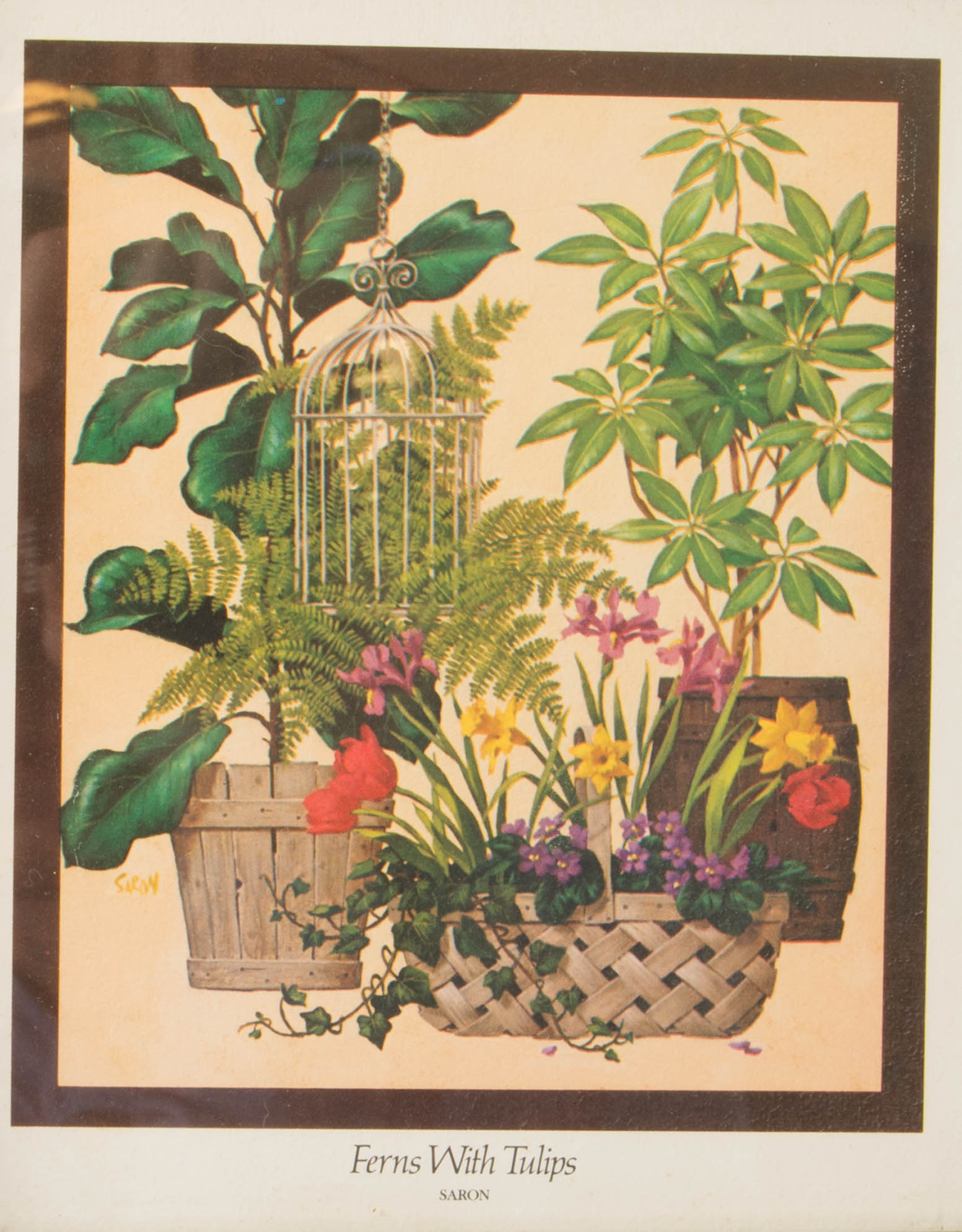 Pair of Botanical Prints by Saron