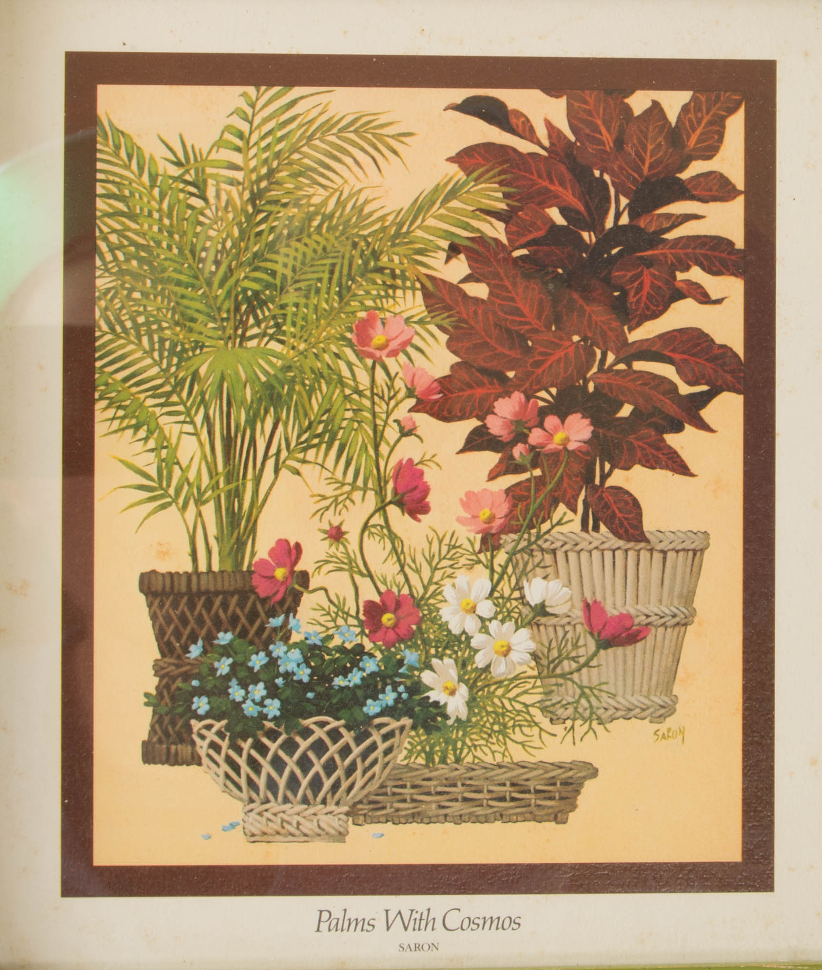 Pair of Botanical Prints by Saron