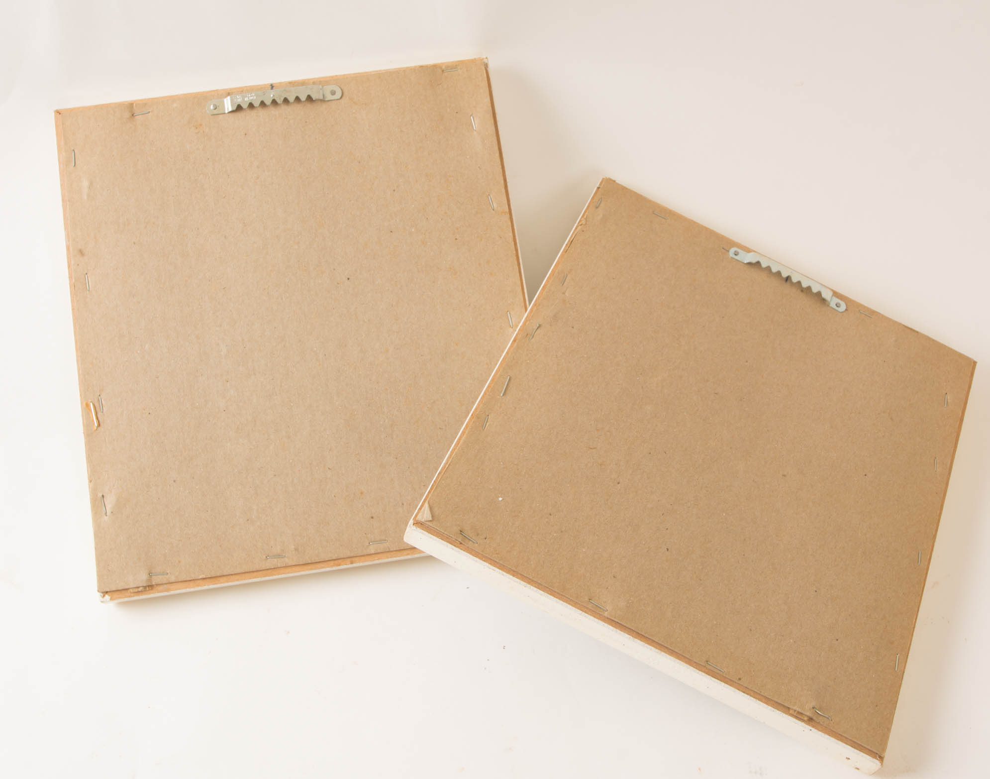 Pair of Botanical Prints by Saron