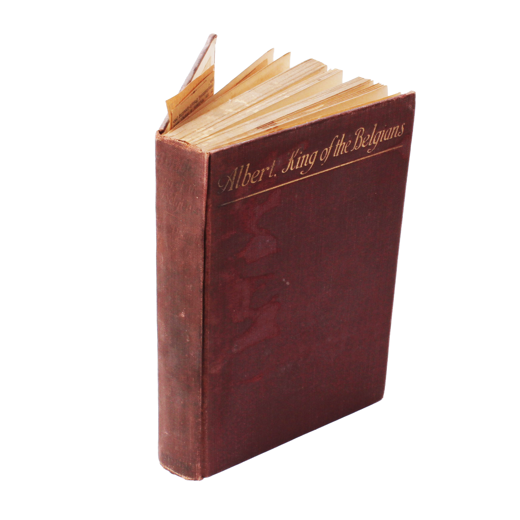 "Albert King of The Belgians" by  John De Courcy Macdonnell