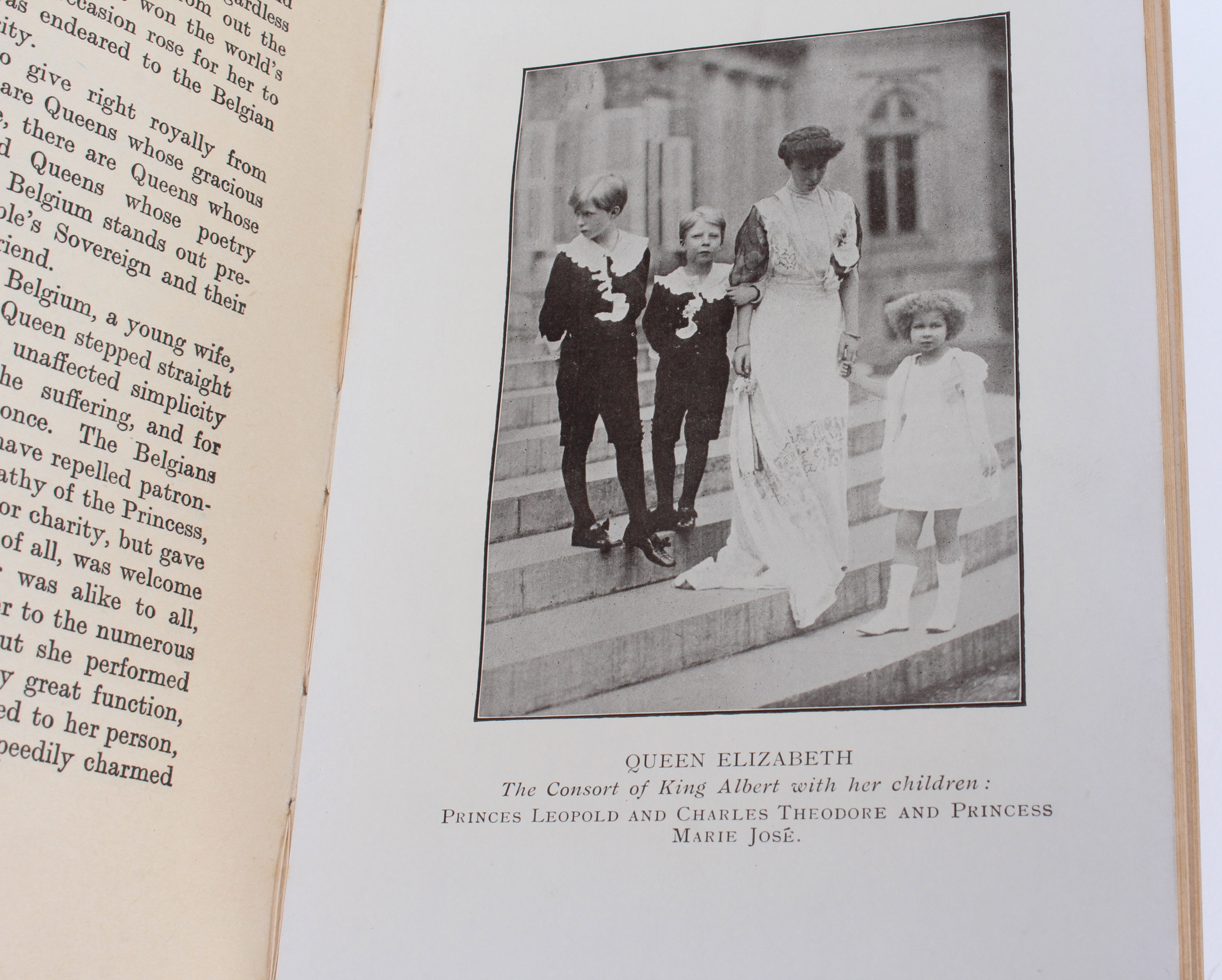 "Albert King of The Belgians" by  John De Courcy Macdonnell