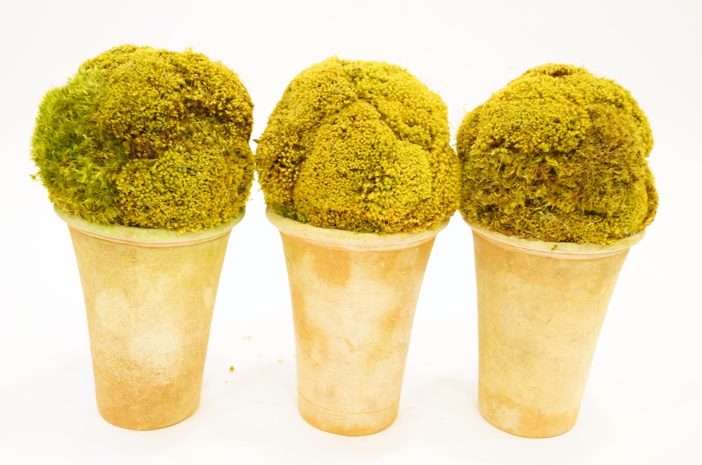 Trio Ceramic Planters with Greenery