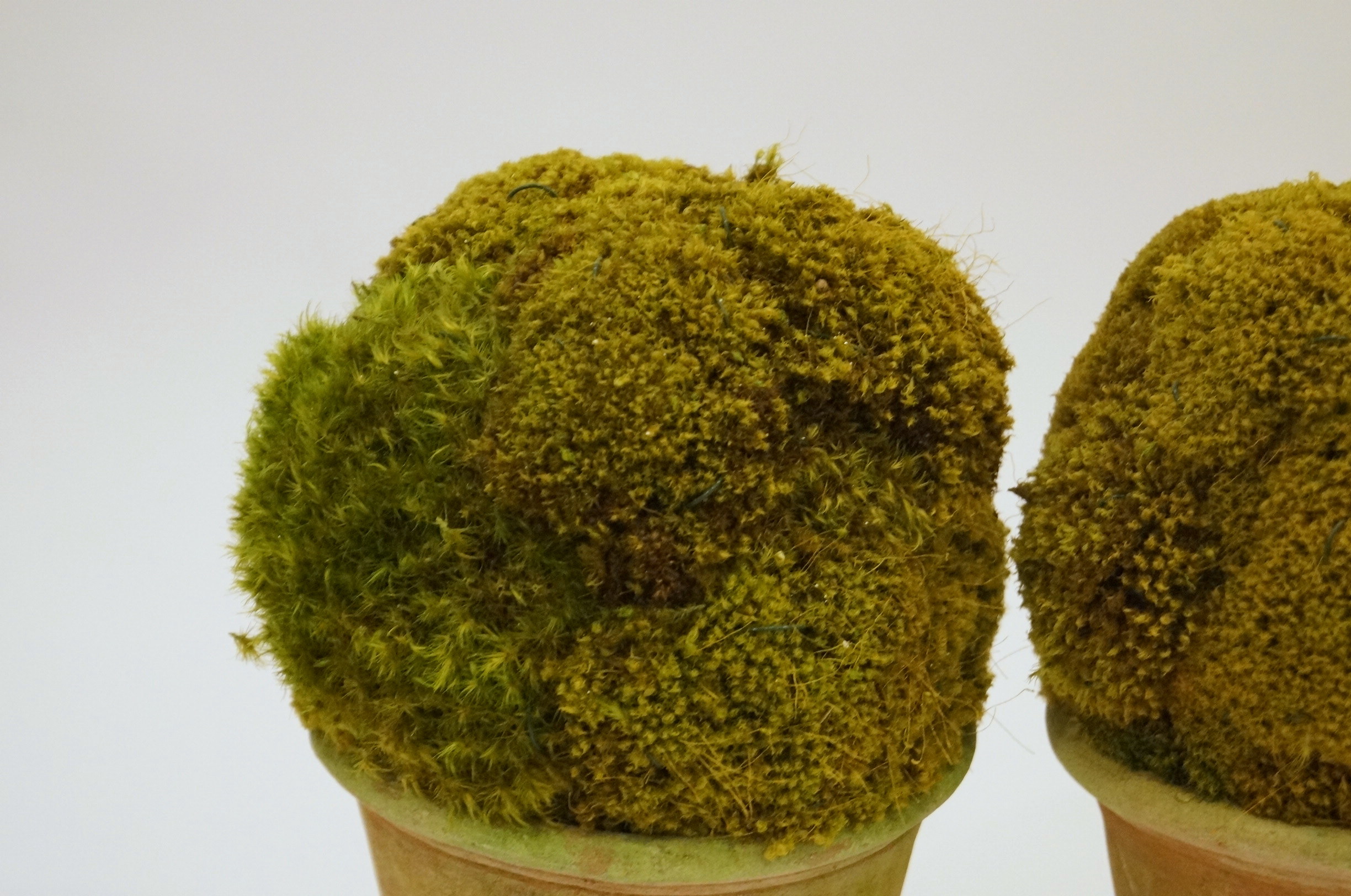 Trio Ceramic Planters with Greenery