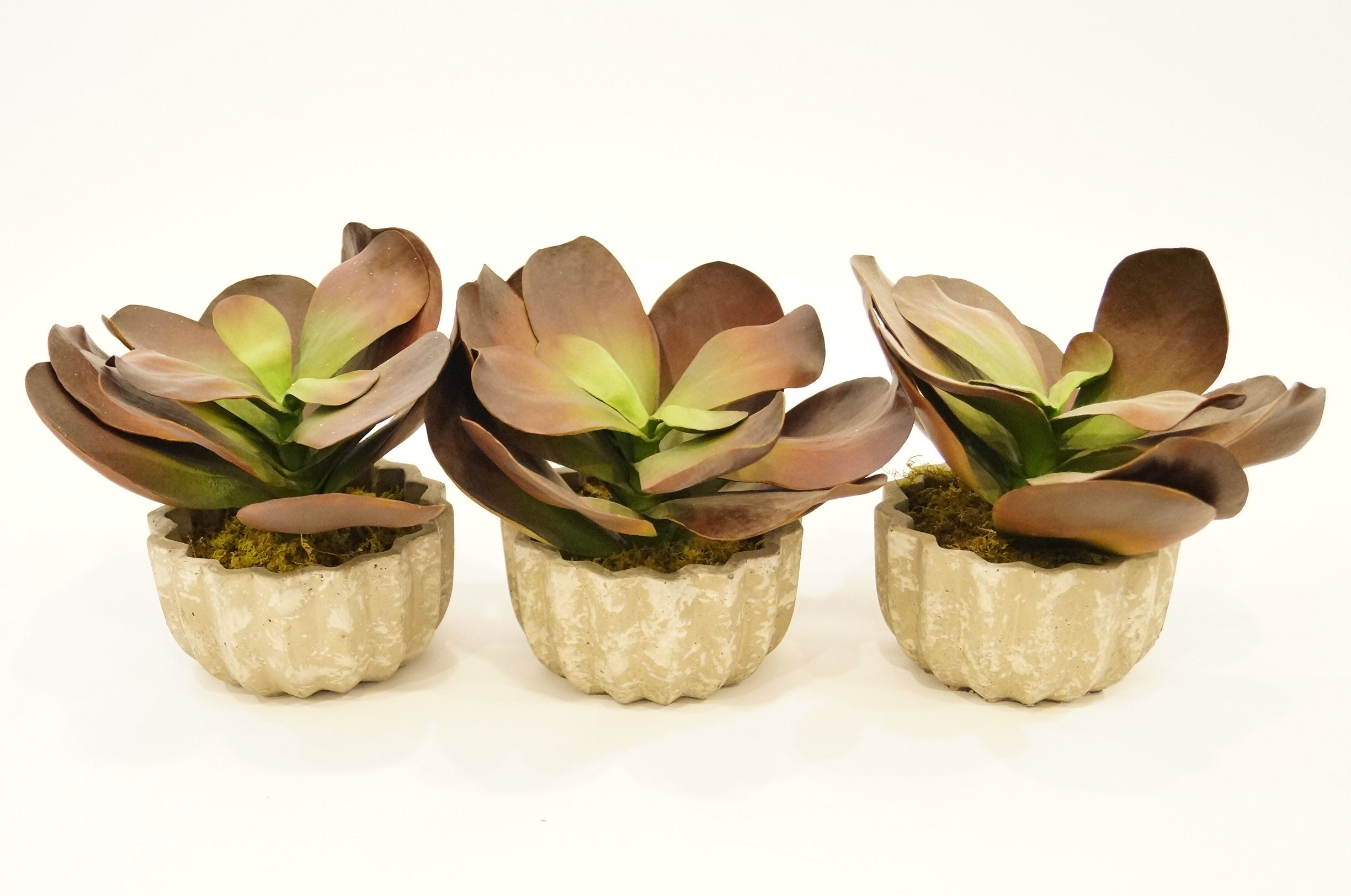 Trio Faux Succulants
