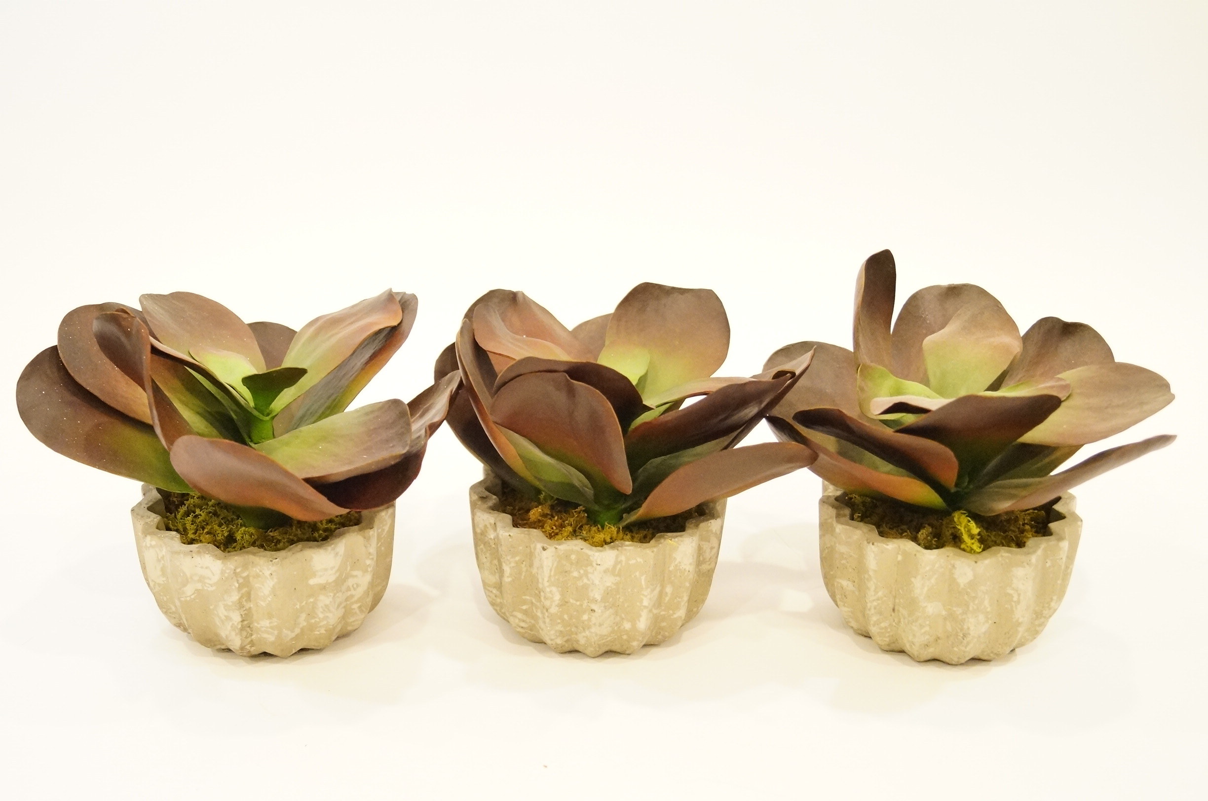 Trio Faux Succulants