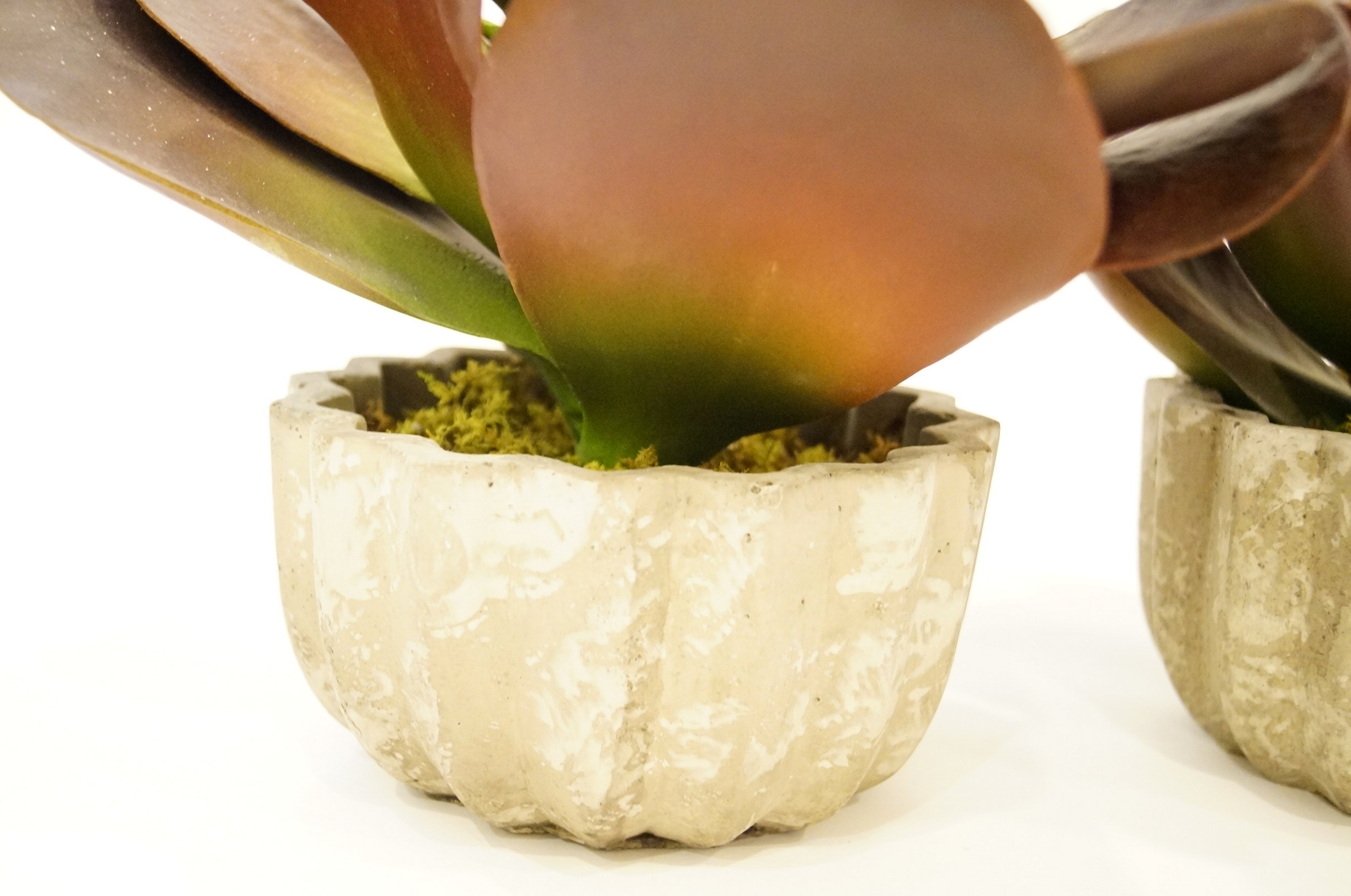 Trio Faux Succulants