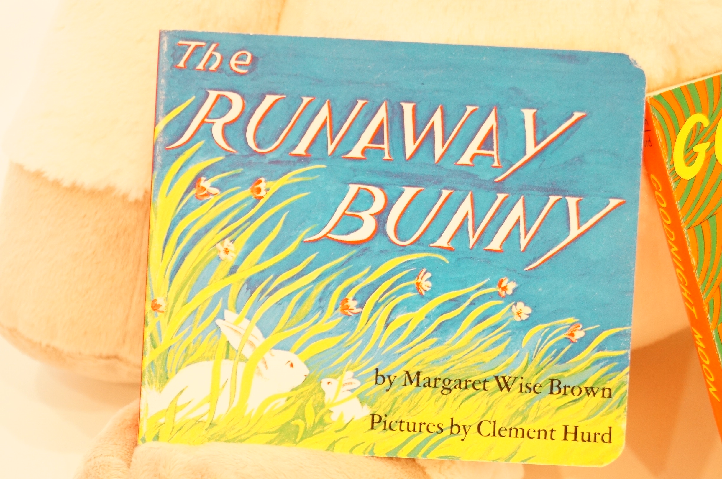 Stuffed Lamb and Two Baby Books