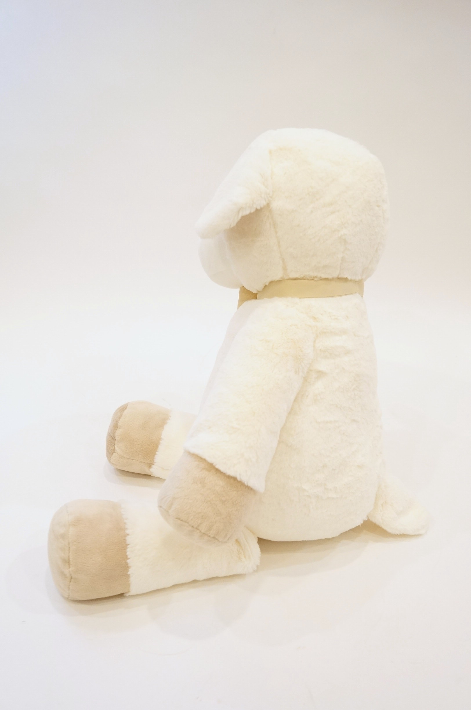 Stuffed Lamb and Two Baby Books