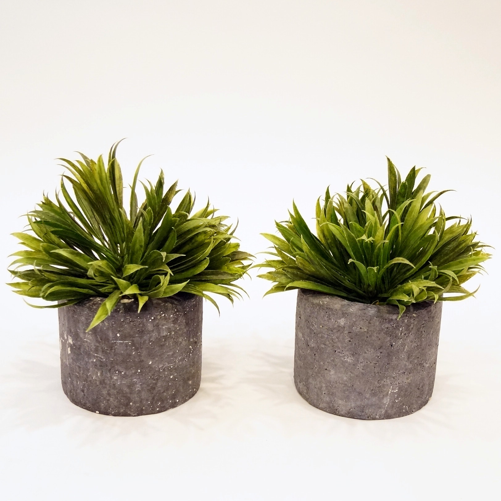 Pair of Decorative Faux Plants