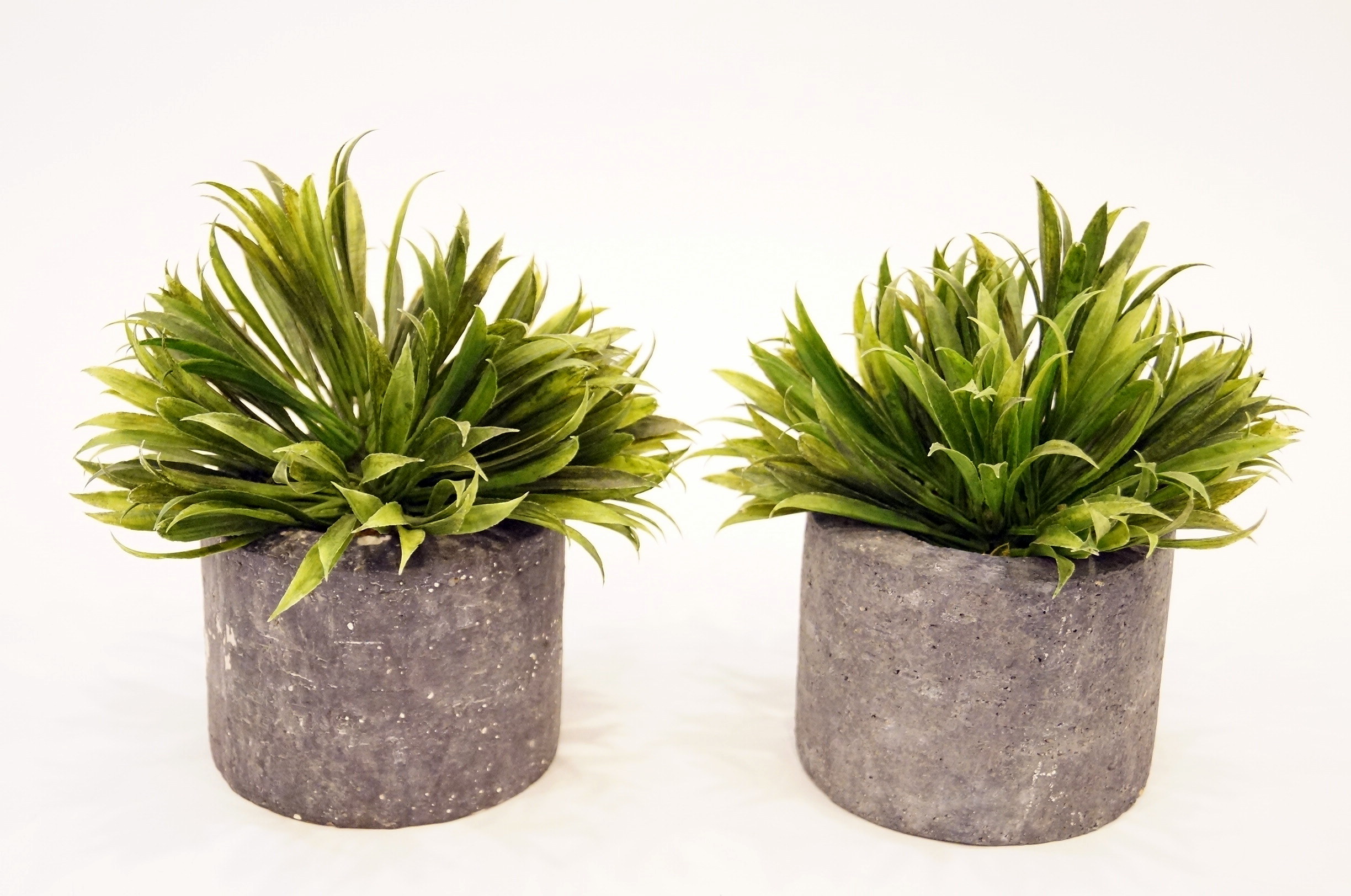 Pair of Decorative Faux Plants