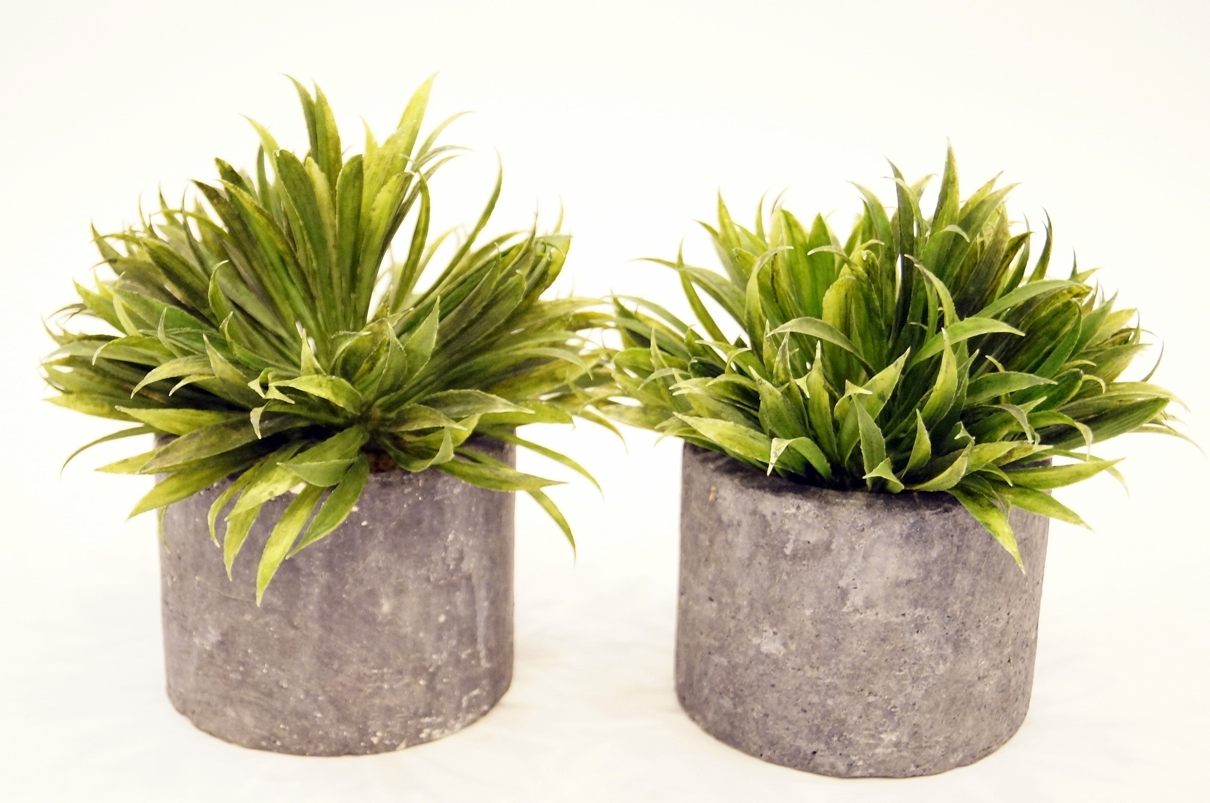 Pair of Decorative Faux Plants