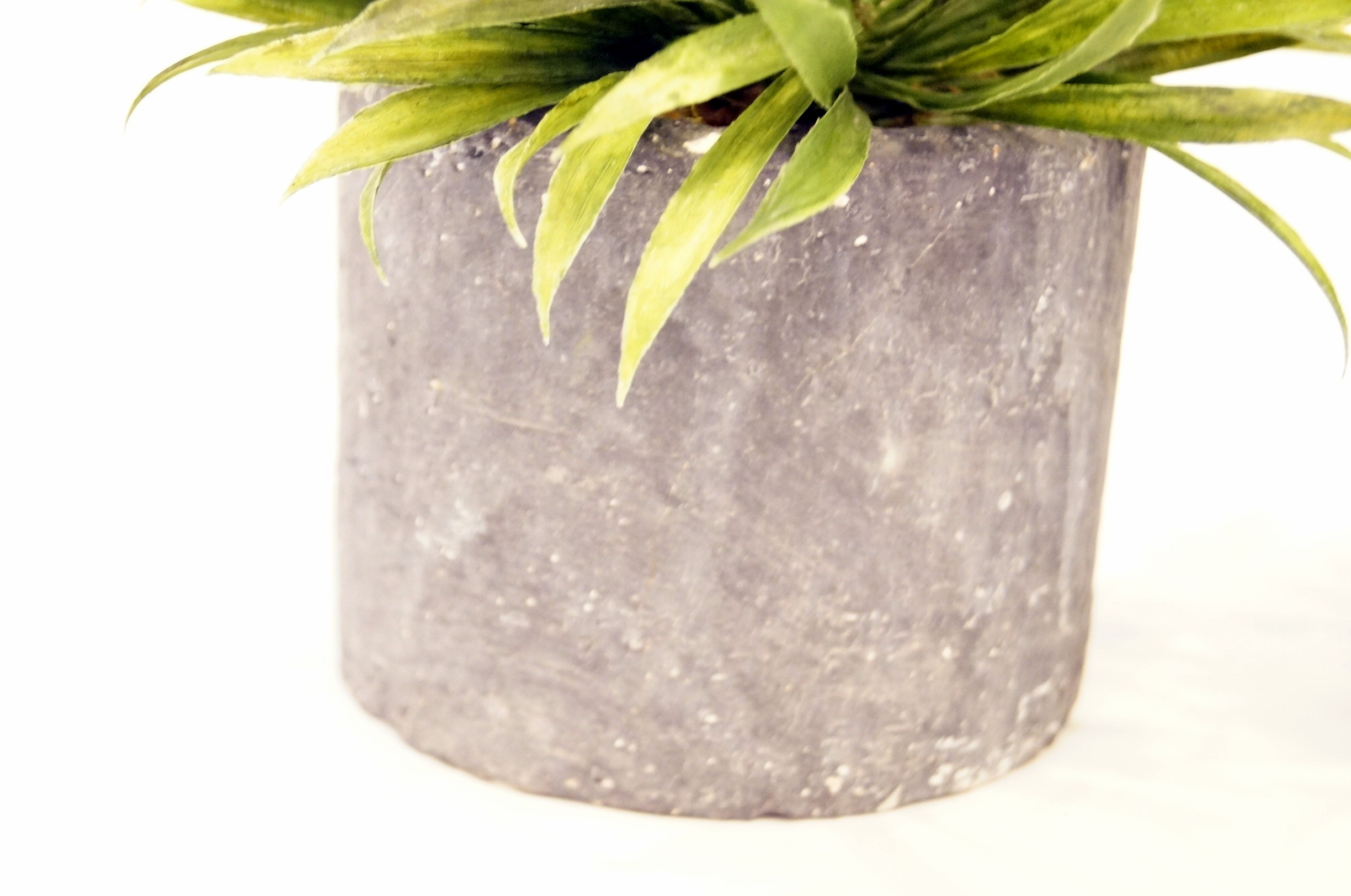 Pair of Decorative Faux Plants