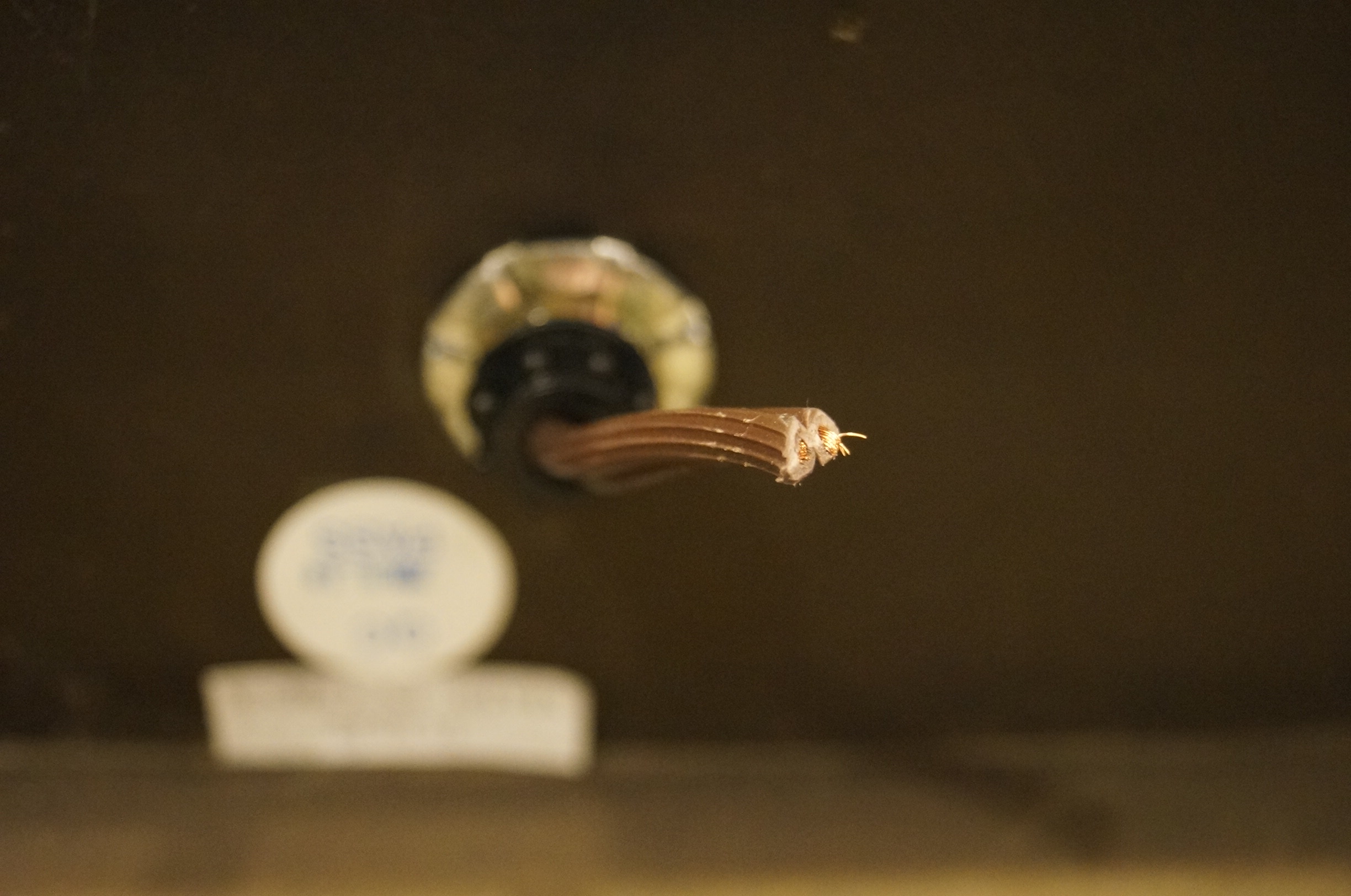 Decorative Lamp - Inoperable