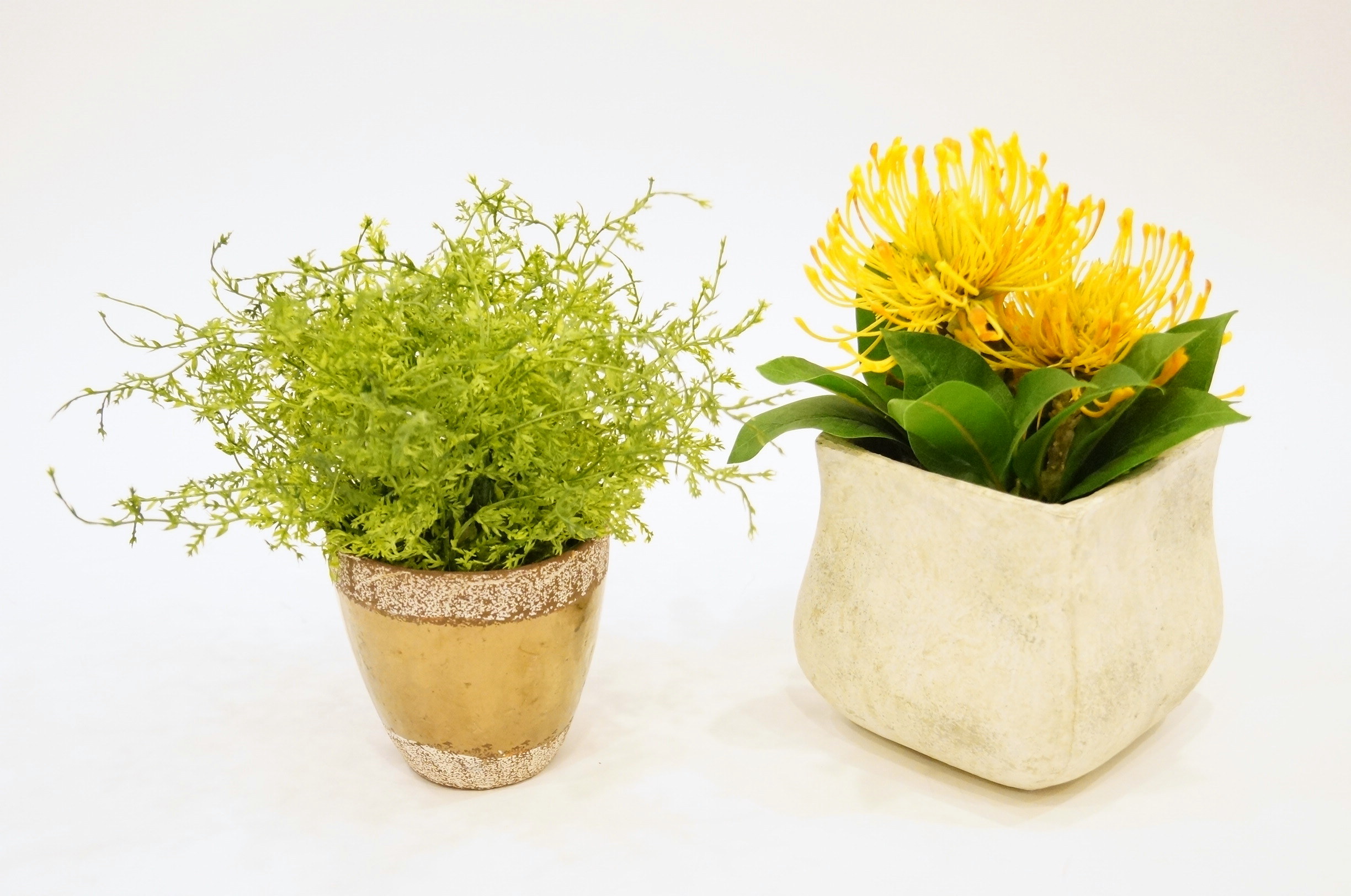 Assortment of Faux Plants