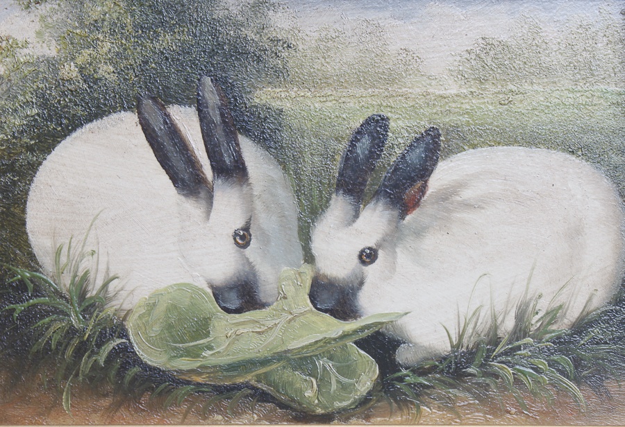 Framed Original Rabbit Oil Paintings by Robert Grace