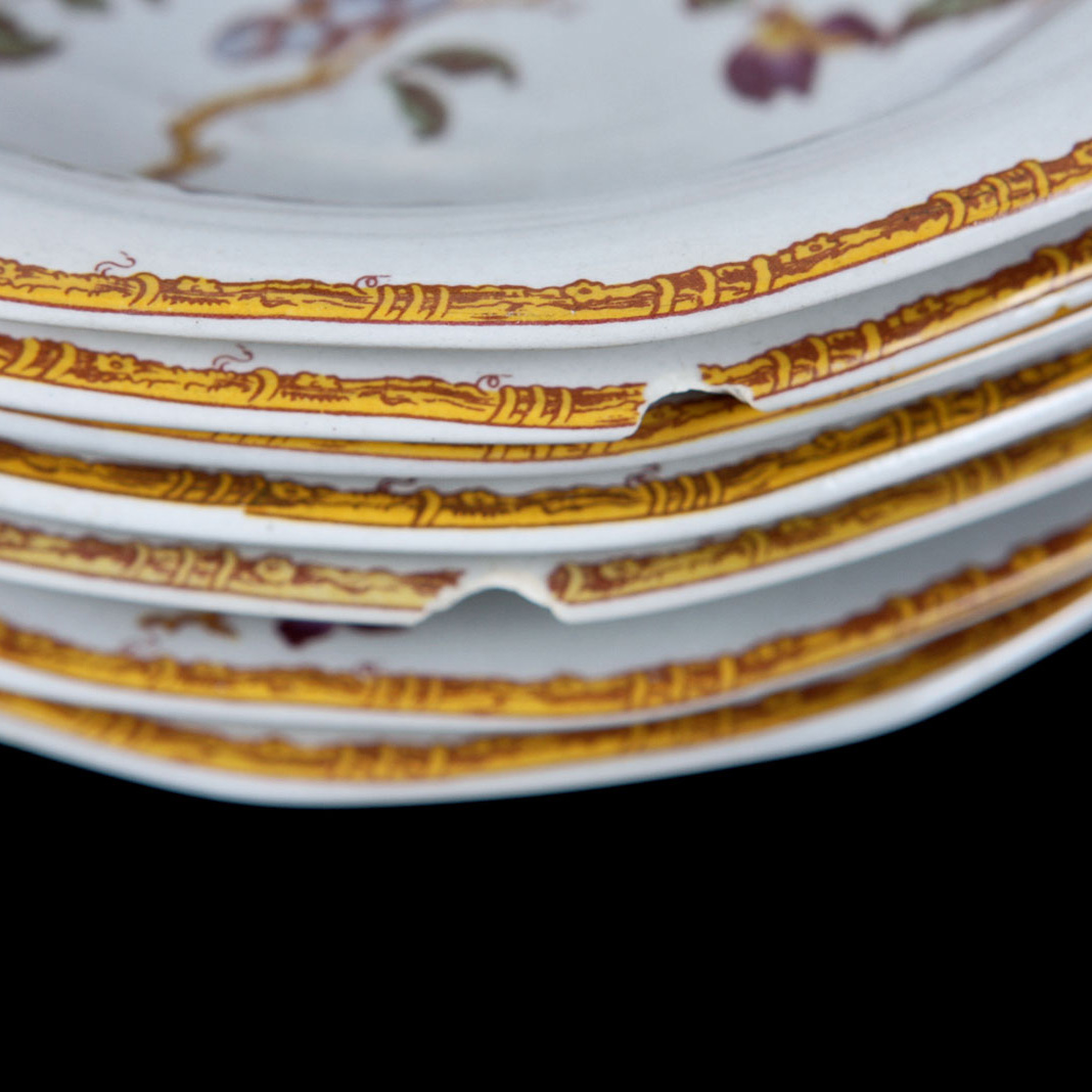 Wedgewood Devon Rose China
