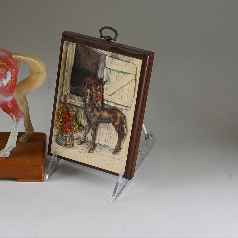 Equine Themed Figures and Decor