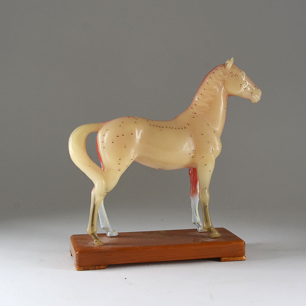 Equine Themed Figures and Decor