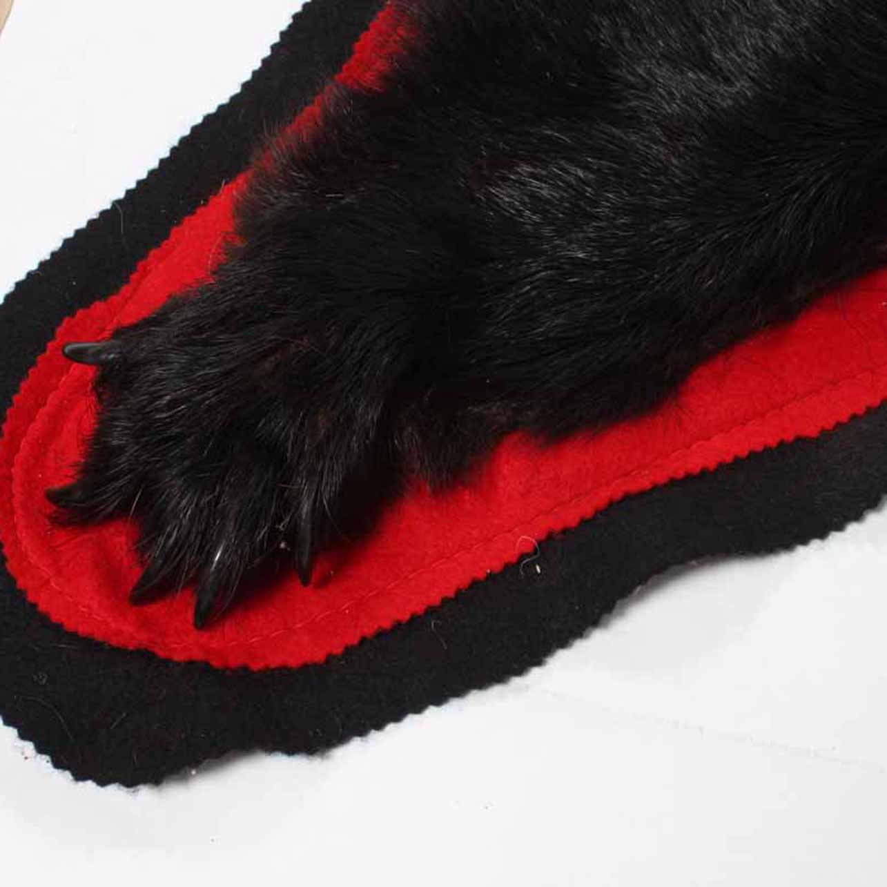 Genuine Black Bear Skin Rug