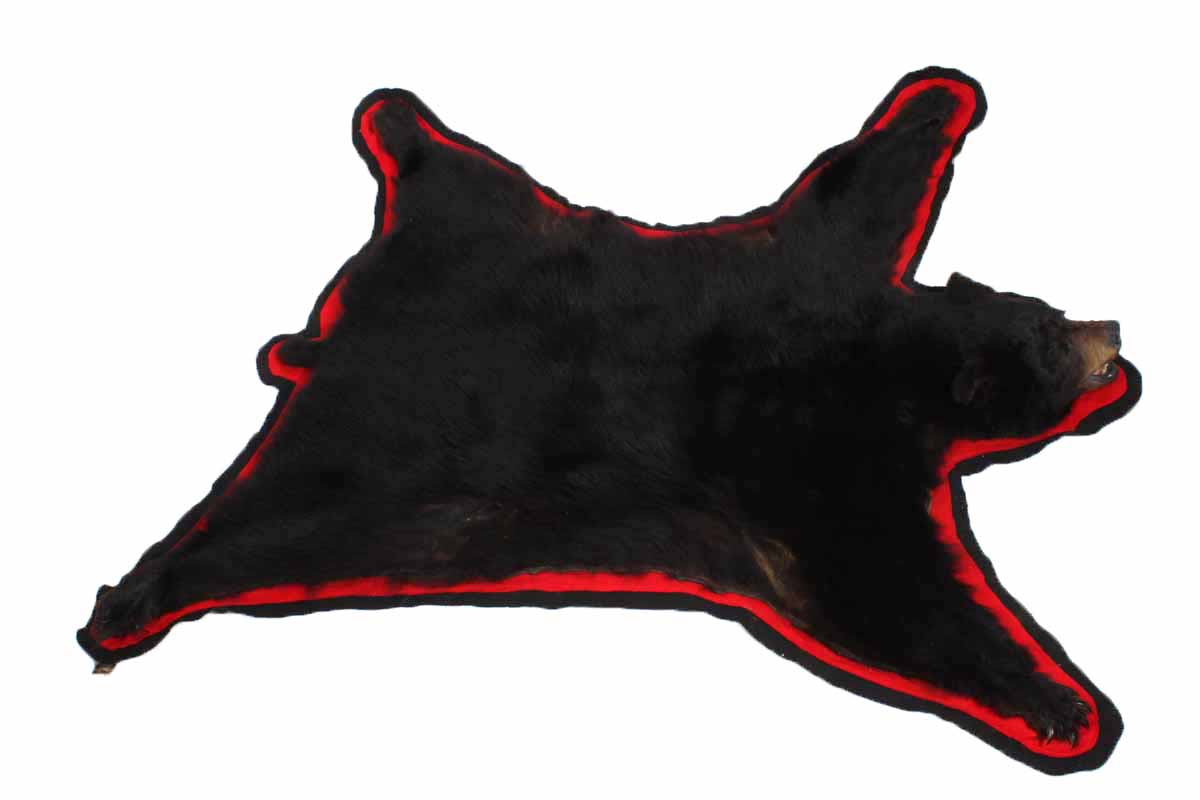 Genuine Black Bear Skin Rug