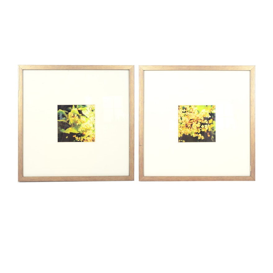 Pair of Framed and Matted Lithographs