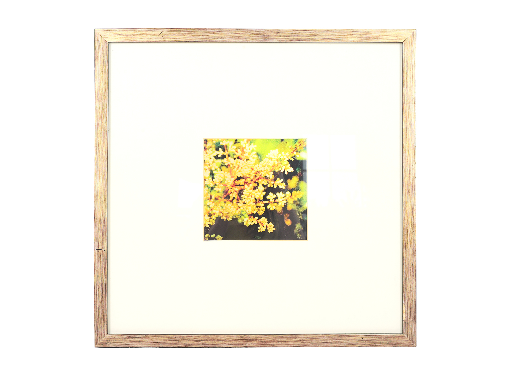 Pair of Framed and Matted Lithographs