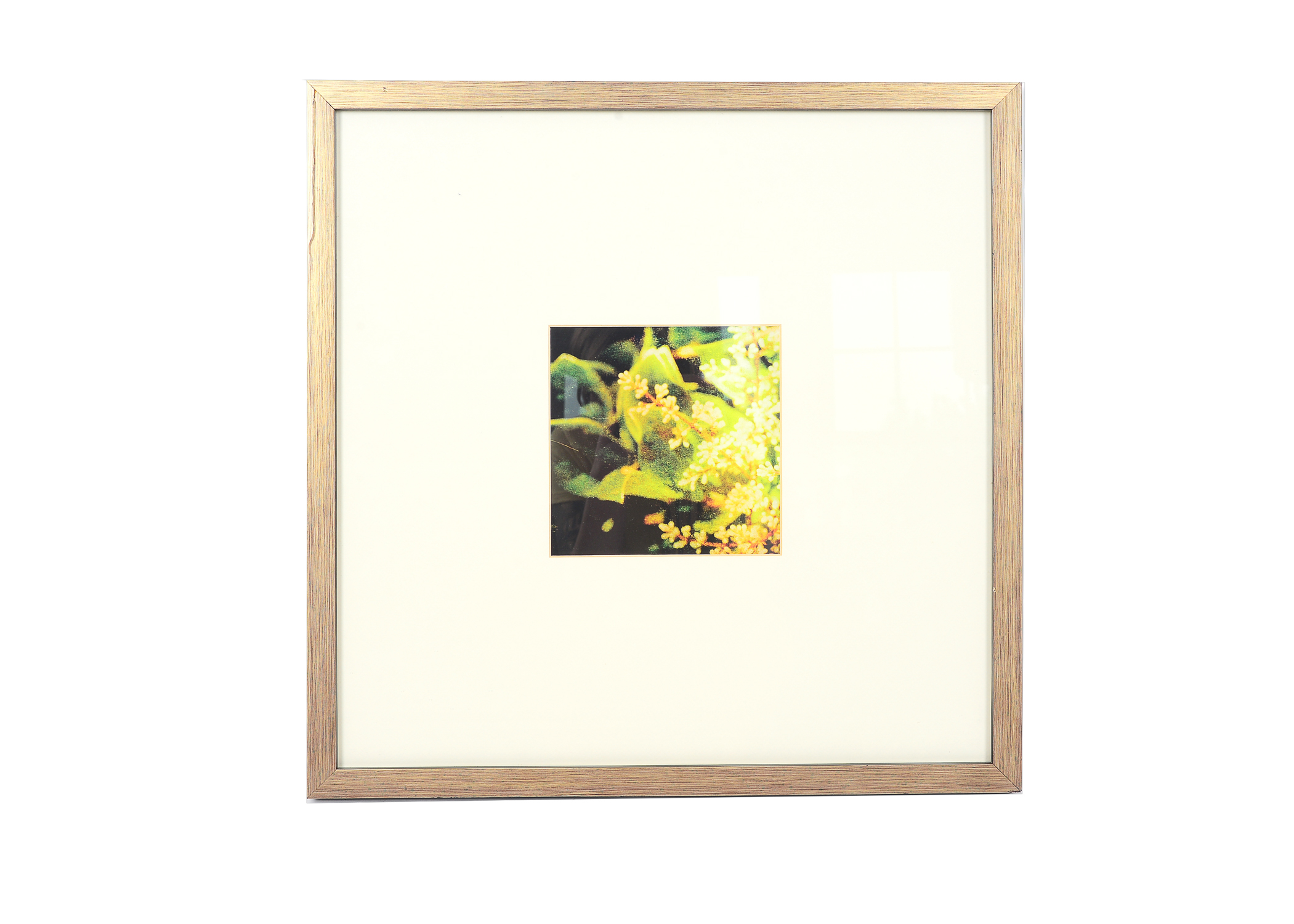 Pair of Framed and Matted Lithographs