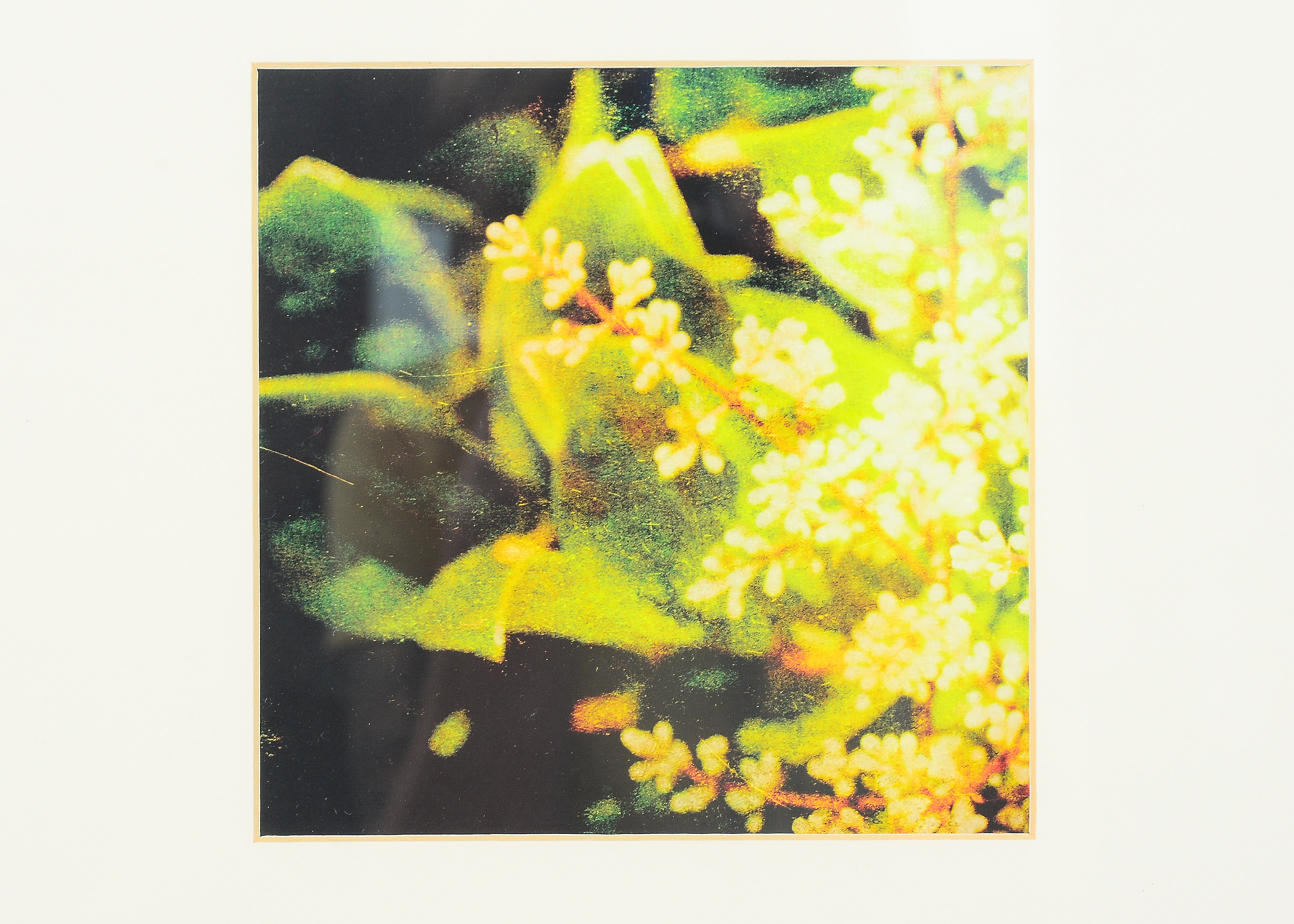 Pair of Framed and Matted Lithographs