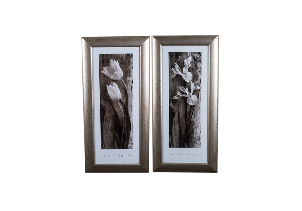 Pair of Framed Sandra Wampler Prints