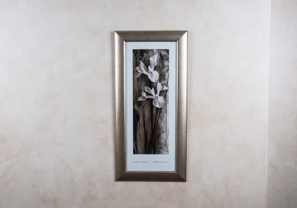 Pair of Framed Sandra Wampler Prints