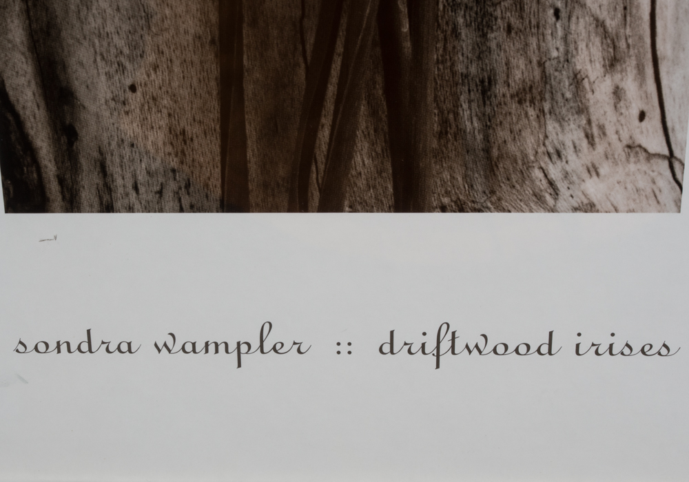 Pair of Framed Sandra Wampler Prints