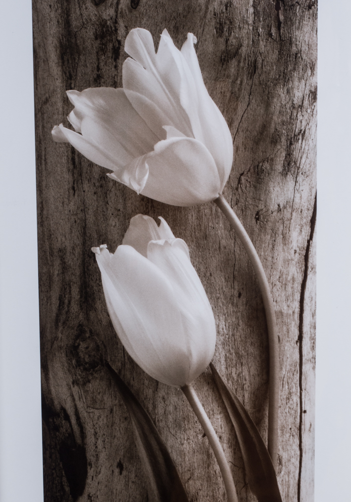 Pair of Framed Sandra Wampler Prints