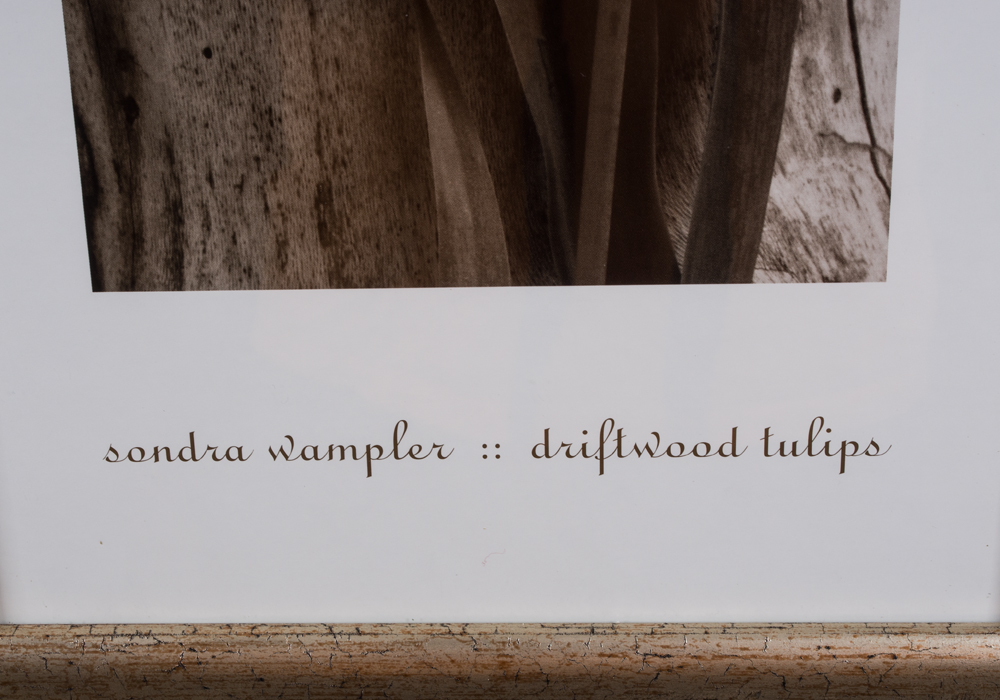 Pair of Framed Sandra Wampler Prints