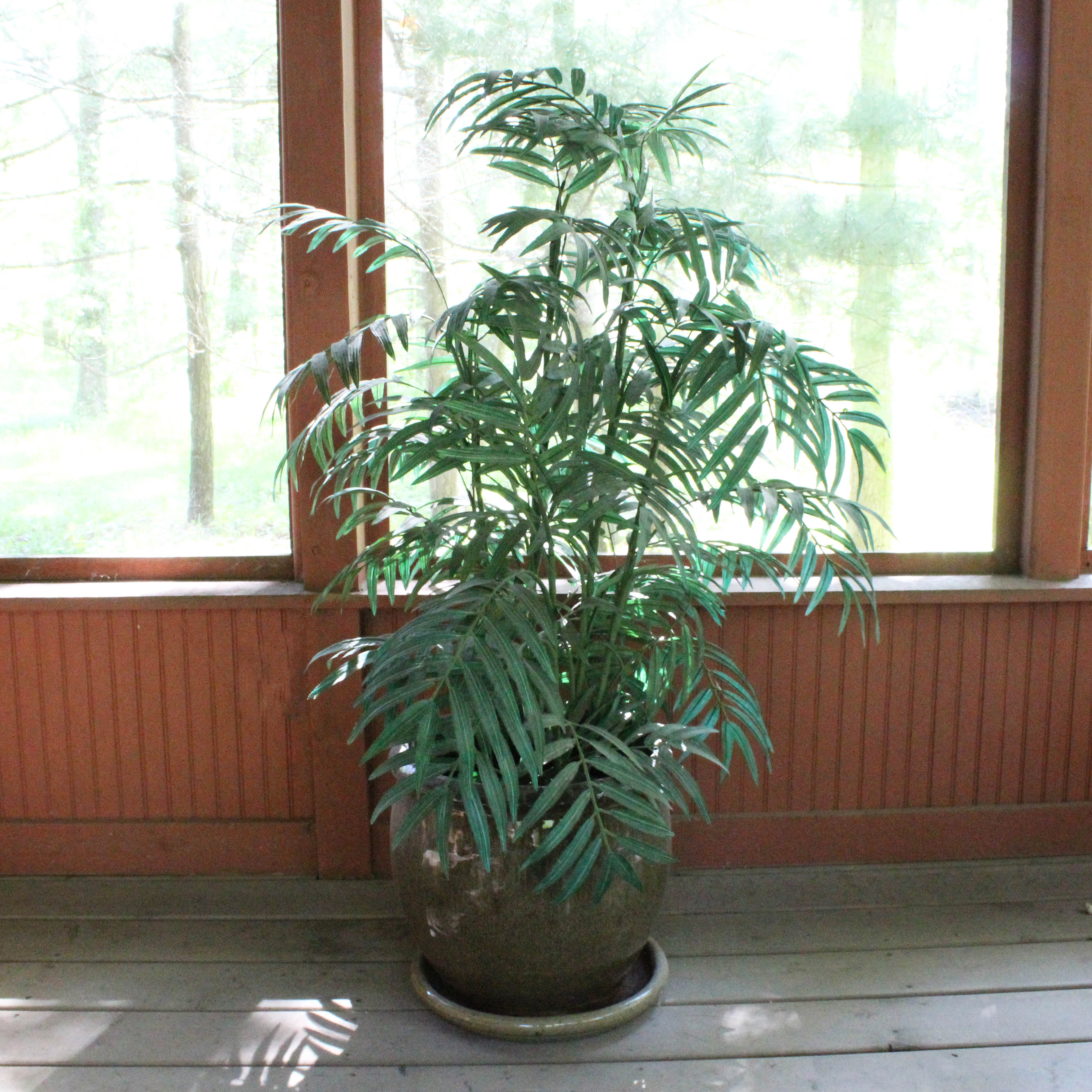 Ceramic Planter with Faux Plant
